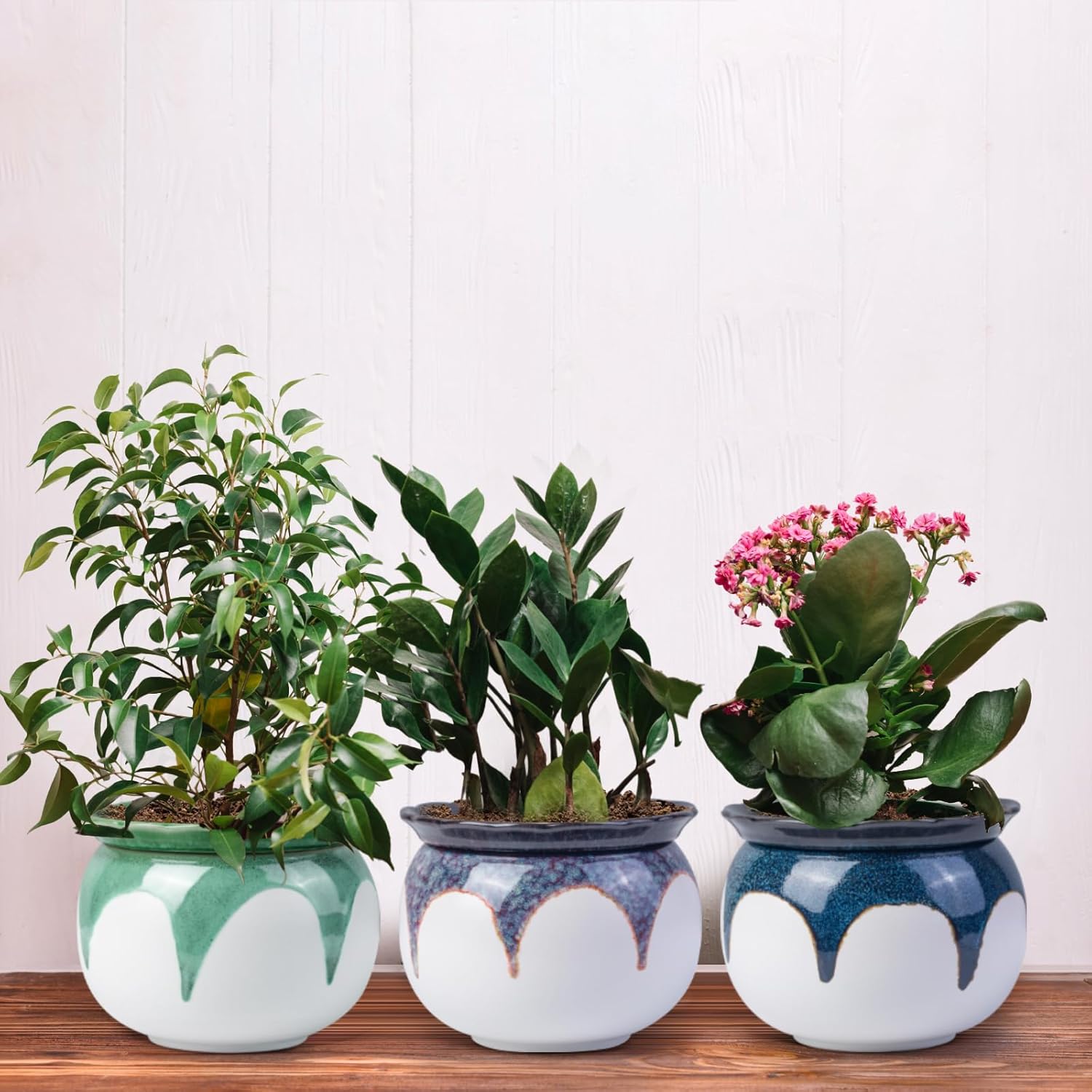 African Violet Pots, 6 Inch Self Watering Pots for Indoor Plants, Easy Plant Self Watering Planter, Ceramic Plant Pot