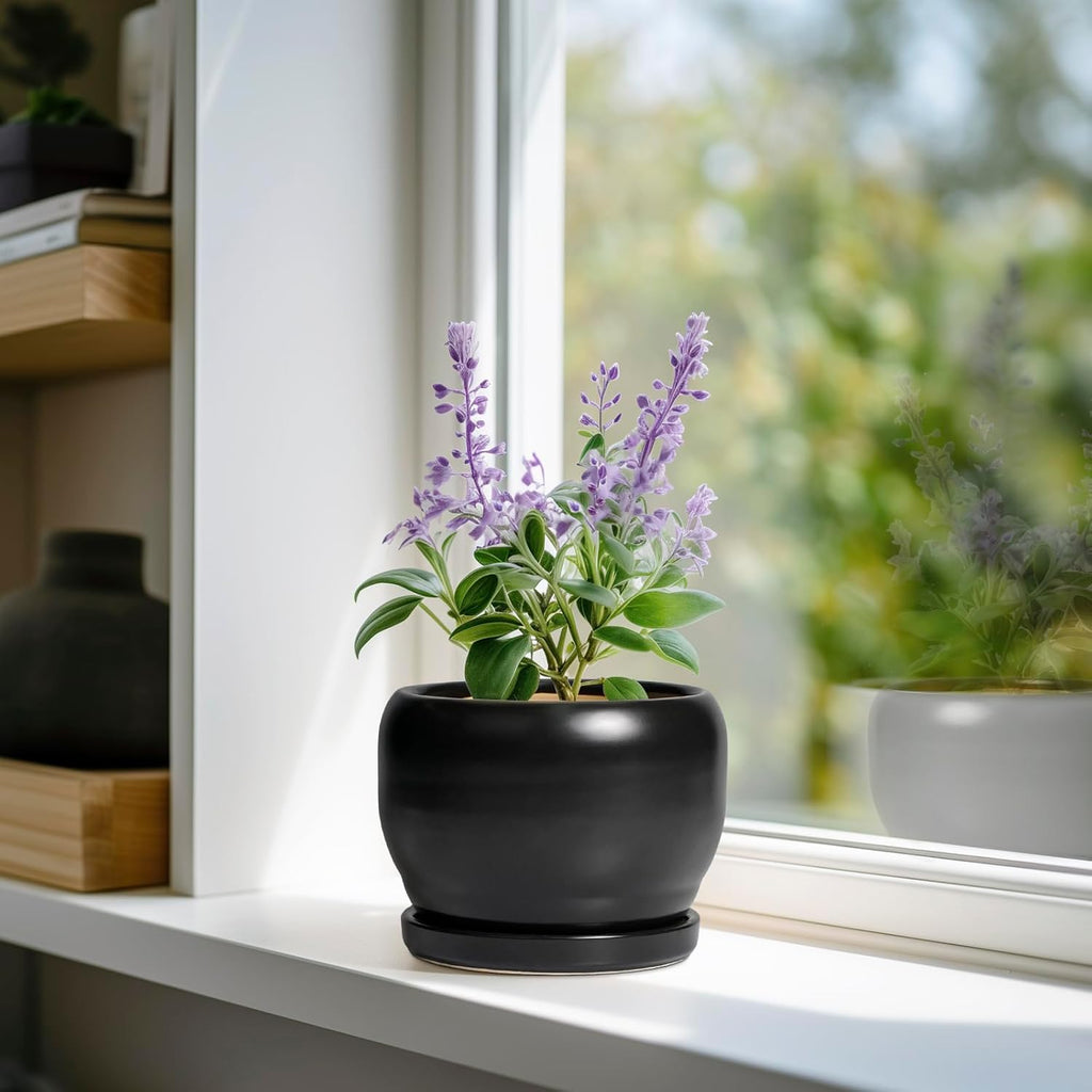 SQOWL Ceramic Plant Pot - 6 Inch Planter for Indoor Plants, Round Flower Pot with Drainage Hole and Saucer, Modern