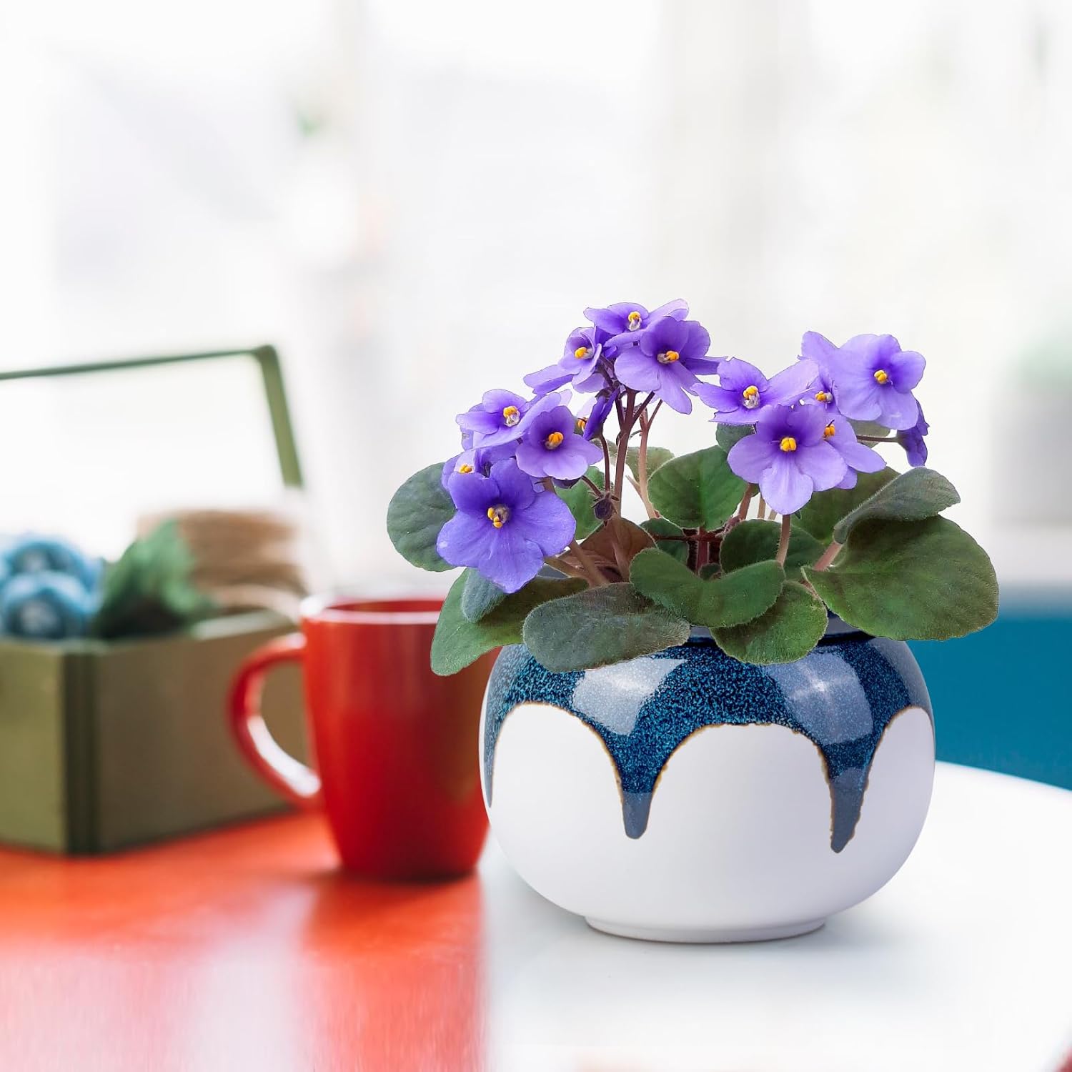 African Violet Pots, 6 Inch Self Watering Pots for Indoor Plants, Easy Plant Self Watering Planter, Ceramic Plant Pot