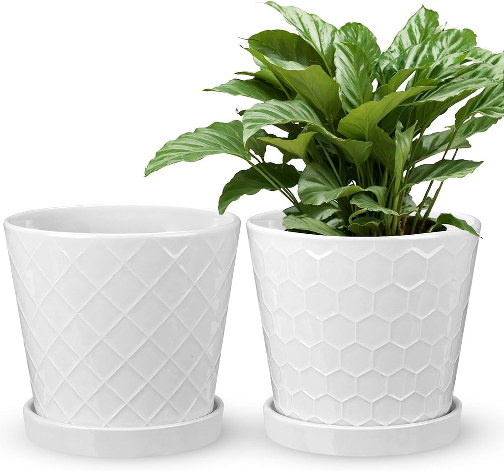 EFISPSS Ceramic Plant Pots, 6 Inch Pots for Indoor Plants, Planters with Drainage Hole and Saucer, Flower Pots Desktop