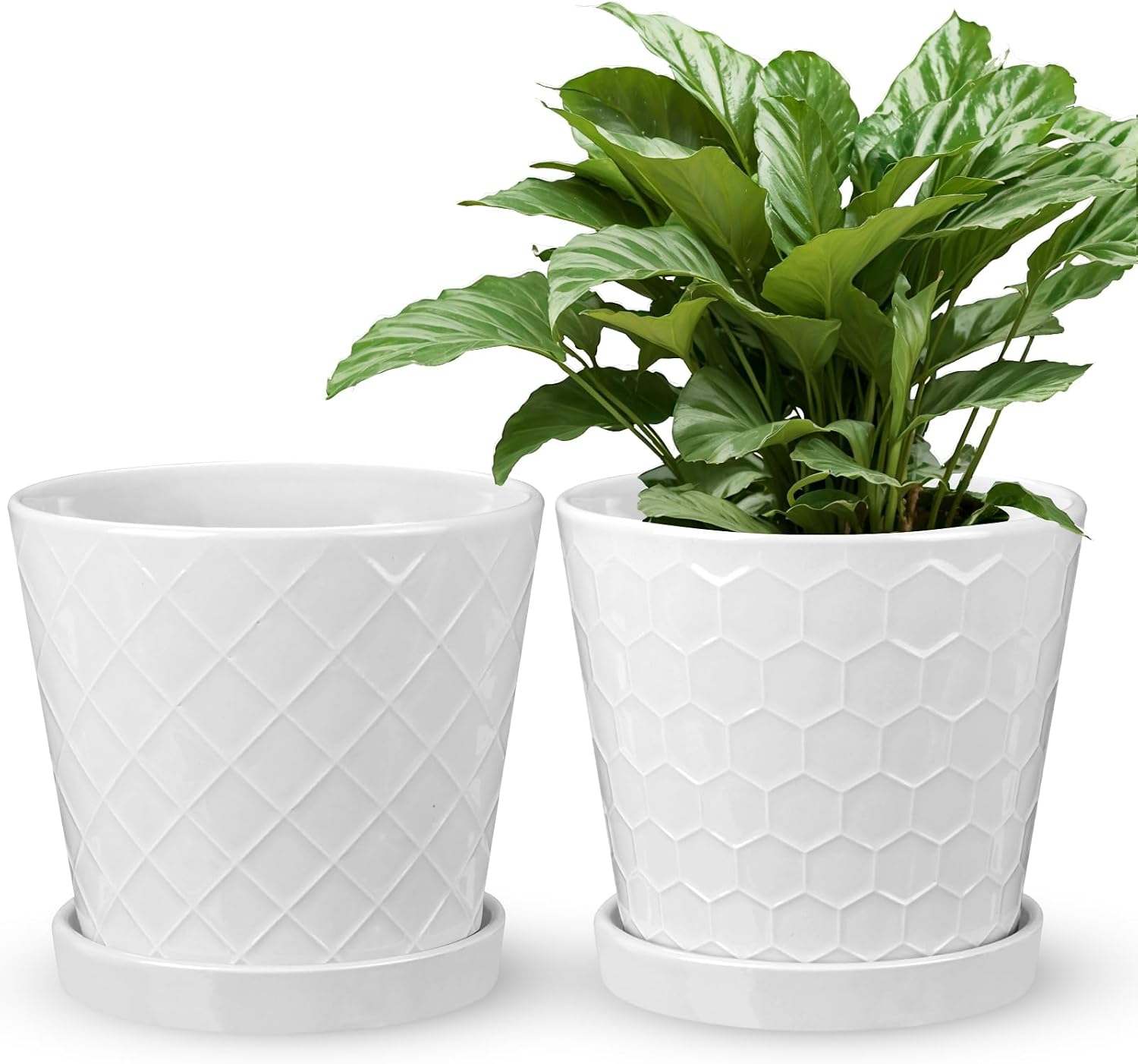 EFISPSS Ceramic Plant Pots, 6 Inch Pots for Indoor Plants, Planters with Drainage Hole and Saucer, Flower Pots Desktop