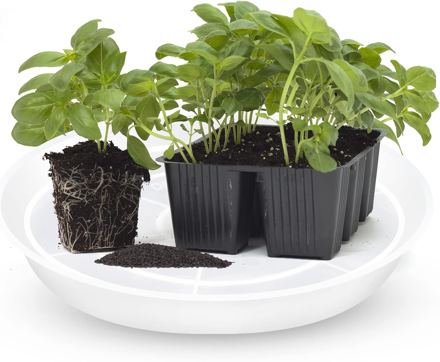 OUPSAUI Plant Saucer Pot Tray, 6 Pack Clear Plant Saucers for Indoors, Large Plastic Dish Suacer Water Drip Tray for