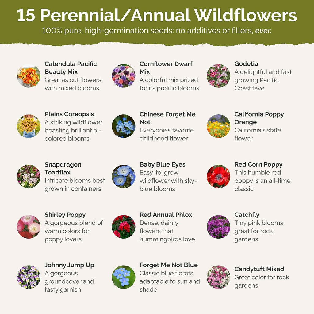 Eden Brothers Shorty Low Grow Wildflower Mixed Seeds for Planting, 1 lb | 480,000+ Seeds with Calendula, Cornflower
