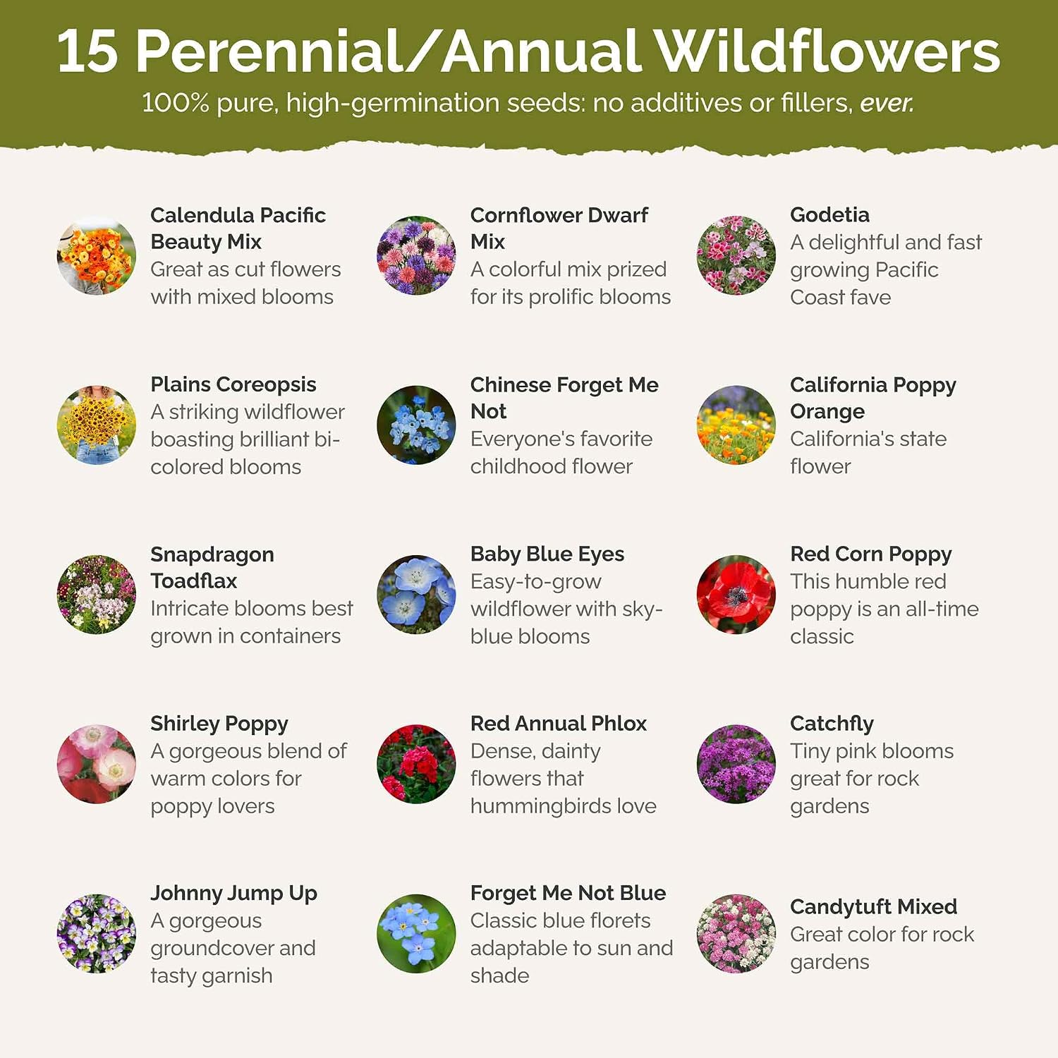 Eden Brothers Shorty Low Grow Wildflower Mixed Seeds for Planting, 1 lb | 480,000+ Seeds with Calendula, Cornflower