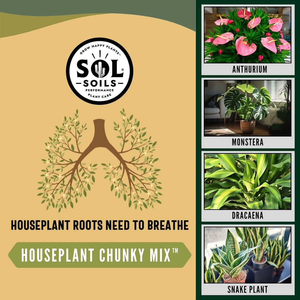 Chunky Houseplant Mix - Fast Draining Soil for Indoor Plants with Coco Coir Chips, Perlite, & Pumice, 2 Quart