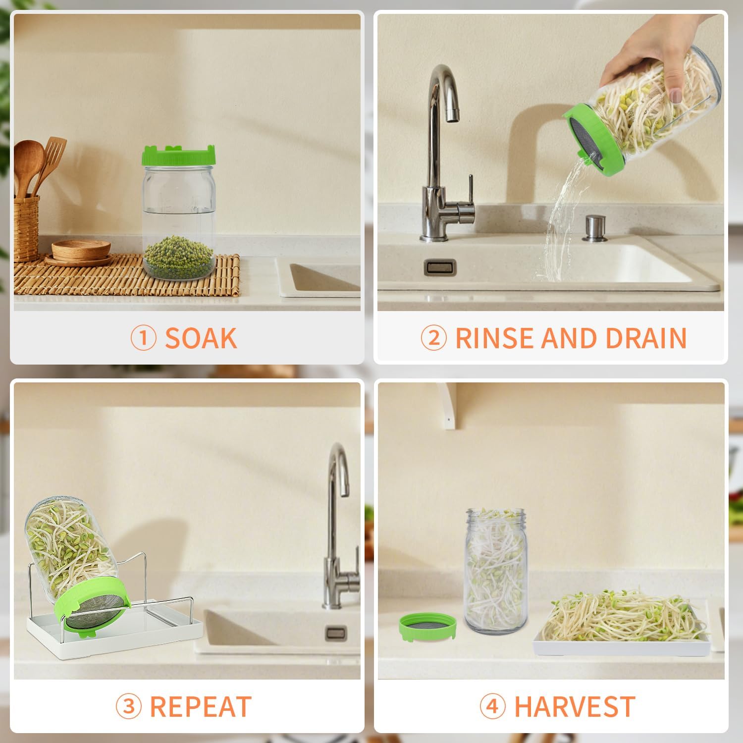 Seed Sprouting Kit with Mung Beans 80g, 2 Large Wide Mouth Mason Jars with Sprout Lids, Blackout Sleeves, Drain Tray