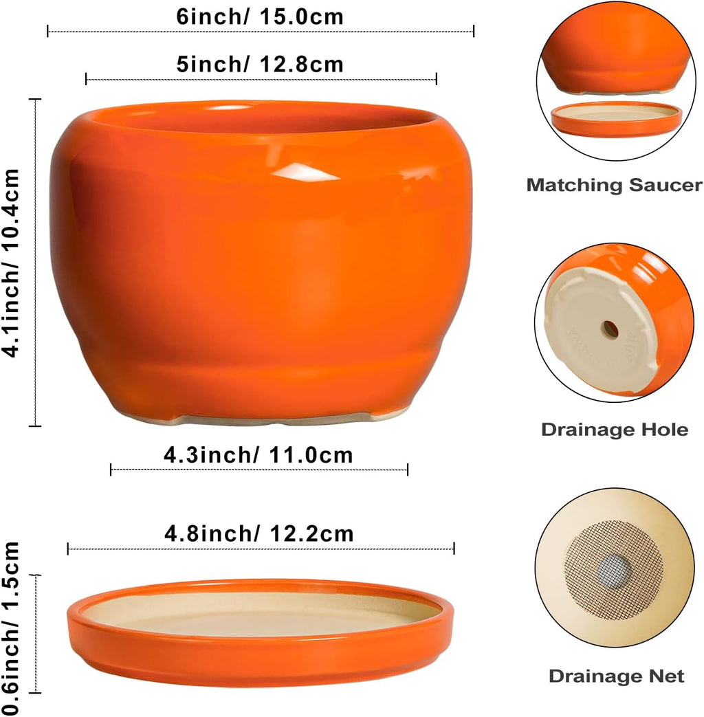 SQOWL Ceramic Plants Pots - 6 Inch Planter Indoor with Drainage Hole and Plant Saucer, Modern Round Planter Outdoor