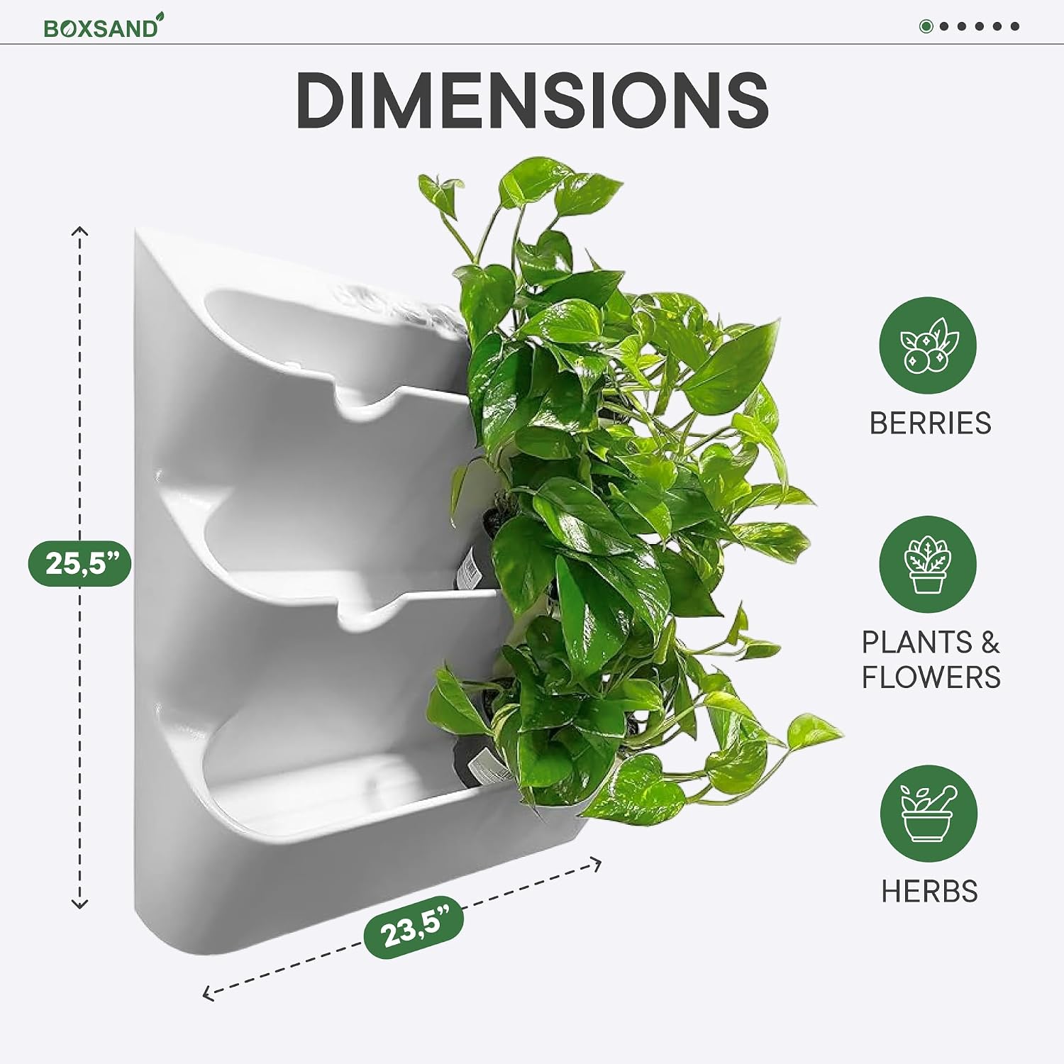 BOXSAND-12 Vertical Wall Planter for 12 Plants – Indoor/Outdoor Living Wall, Space-Saving Vertical Garden System, Easy