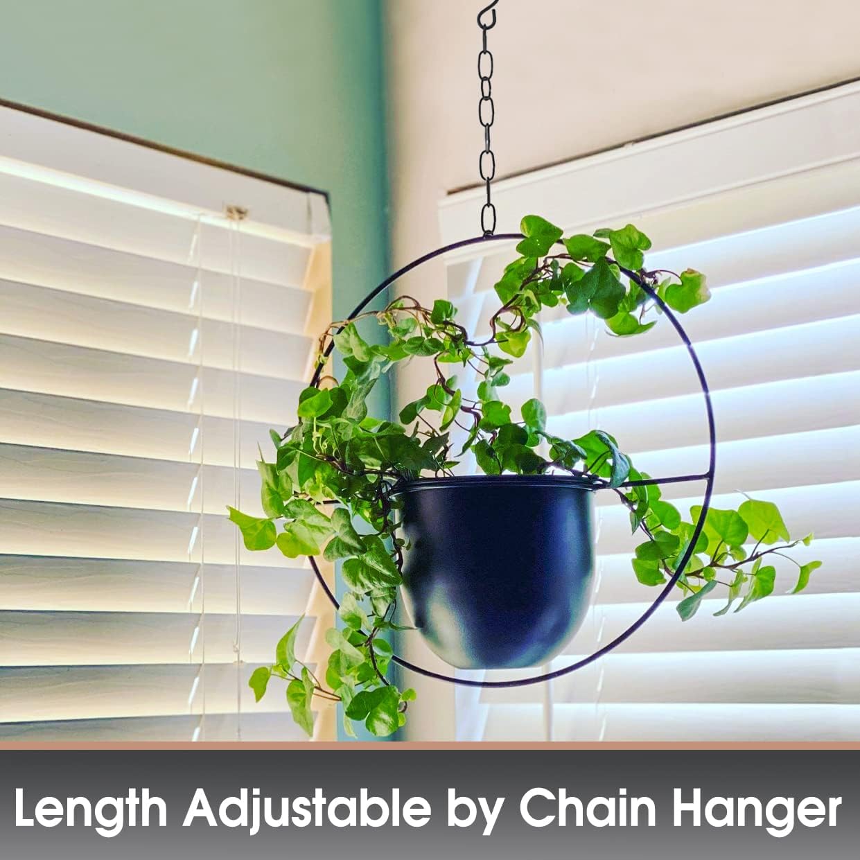 2 Pack Hanging Planter with 5.5" Pot, Metal Hanging Plant Holder | Hanging Planters for Indoor Plants, Hanging Pot