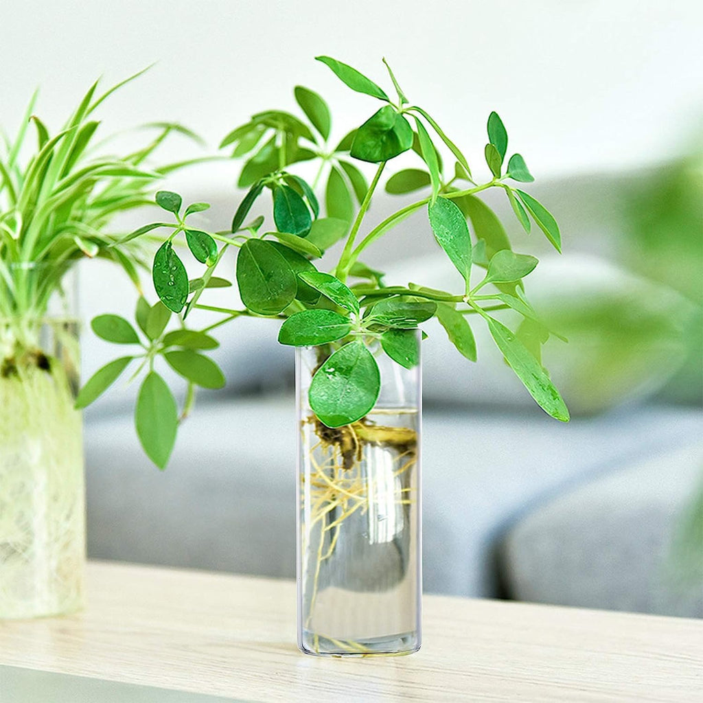 Fasmov 6 Pack Wall Hanging Glass Planters, Terrarium Holders for Air Plants, Succulents, Flowers - Square, Clear Vase