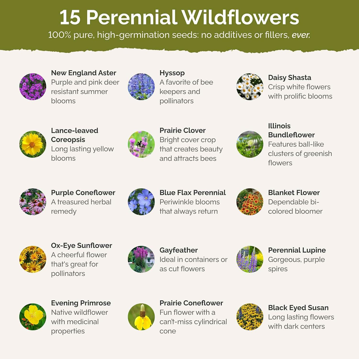 Eden Brothers Midwest All Perennial Wildflower Mixed Seeds, 1 lb | Mixed Seeds for Planting, 480,000+ Seeds with