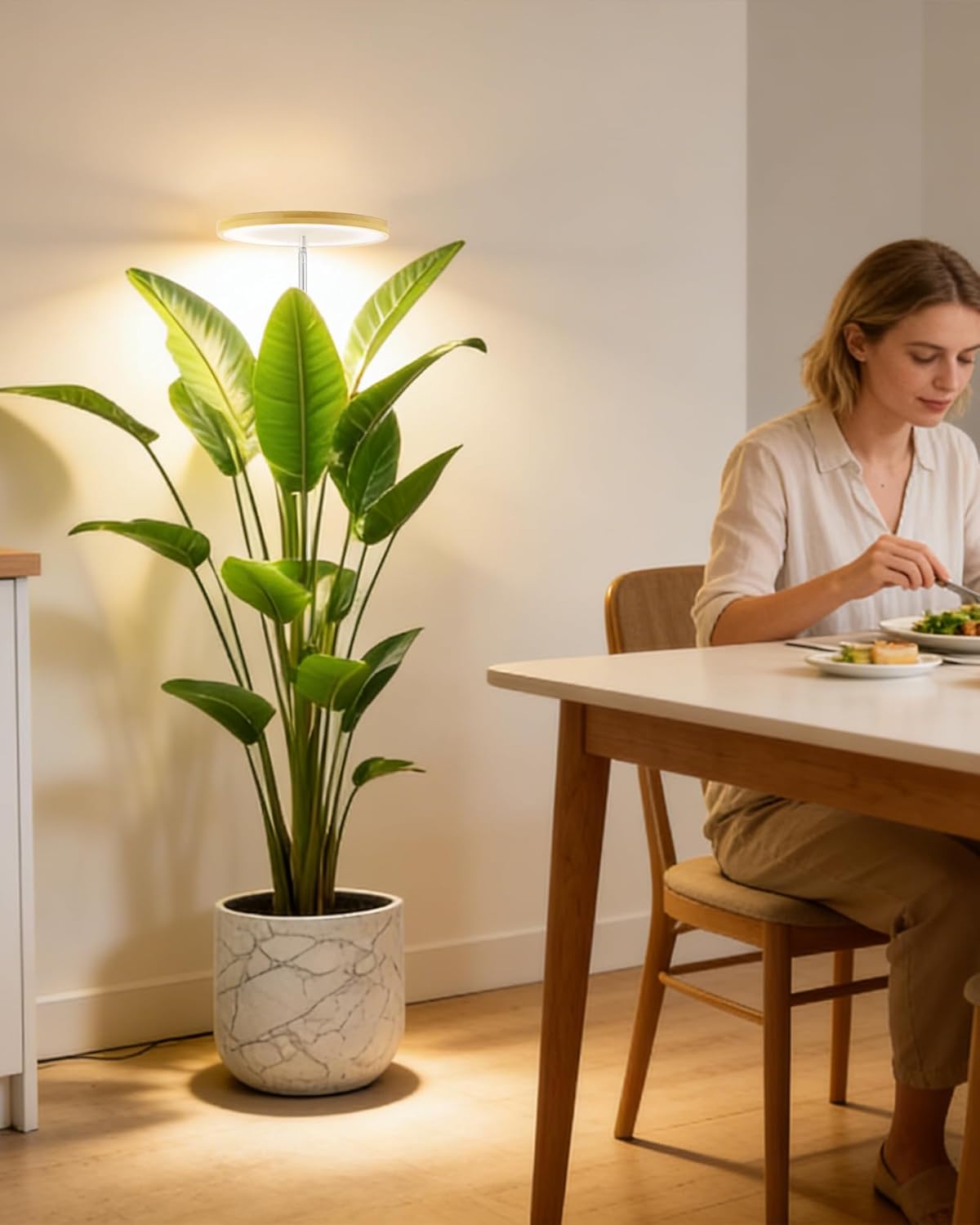 Plant Grow Light, LED Growing Light Full Spectrum for Indoor Plants,Height Adjustable, Automatic Timer, 5V Low Safe
