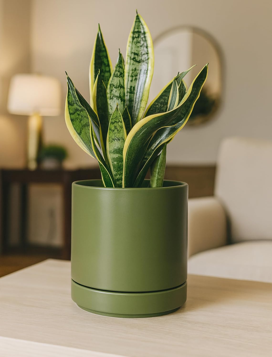 D'vine Dev 6.5 Inch Ceramic Planter Pot, Olive, 94-O-C-J | Modern Cylinder Design, Drainage Hole & Saucer Included