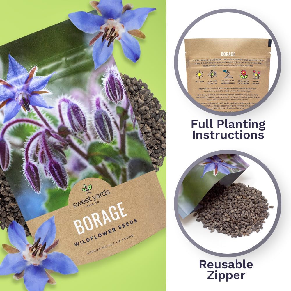 Borage Seeds – Bulk Quarter Pound Bag – Over 5,000 Open Pollinated Non-GMO Wildflower Seeds – Borago officianalis