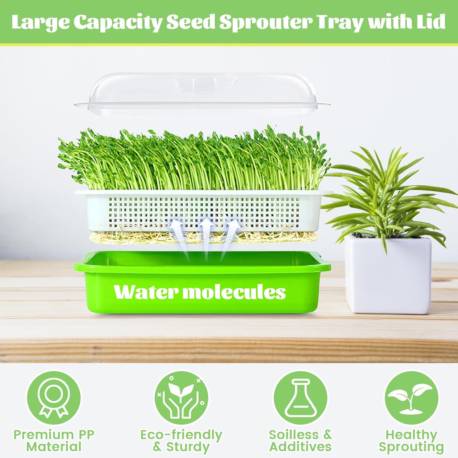 5 Pack Seed Sprouter Trays with Lids- Soil-Free Cultivation Germination Tray, BPA Free Micro Greens Growing Trays Seed