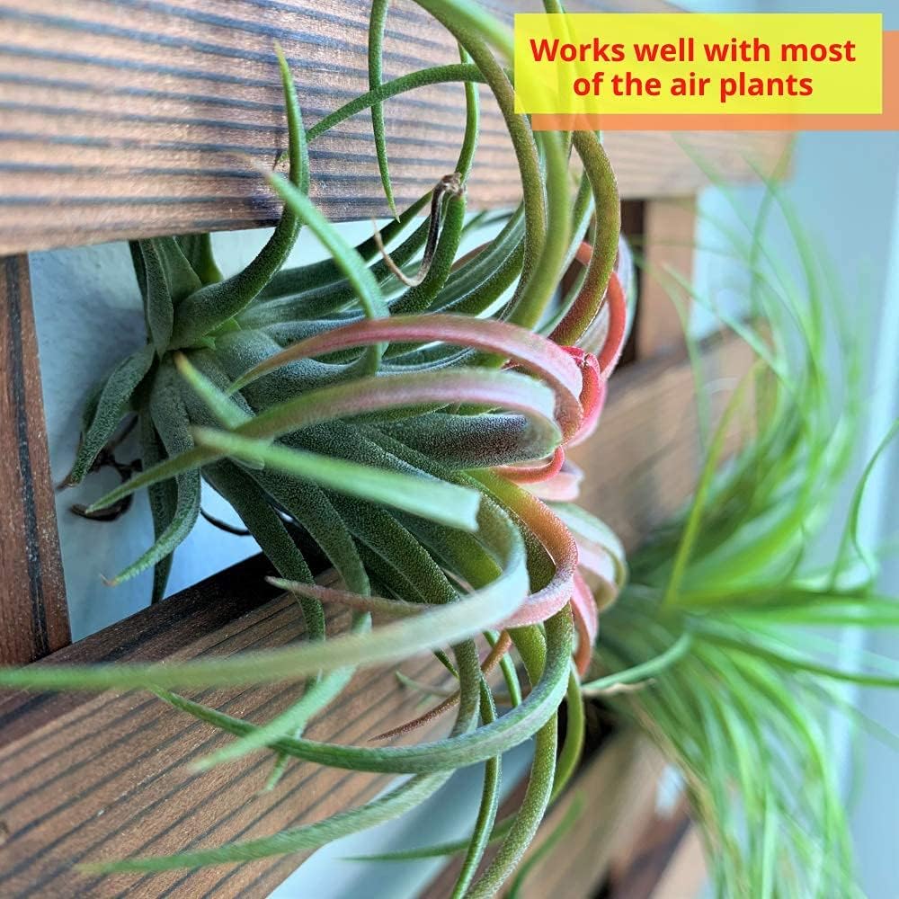 ShopLaLa Wooden Wall Planter (40cm, 4 Pack) Hanging Planters for Indoor | Air Plant Succulent Orchid Holder, Live