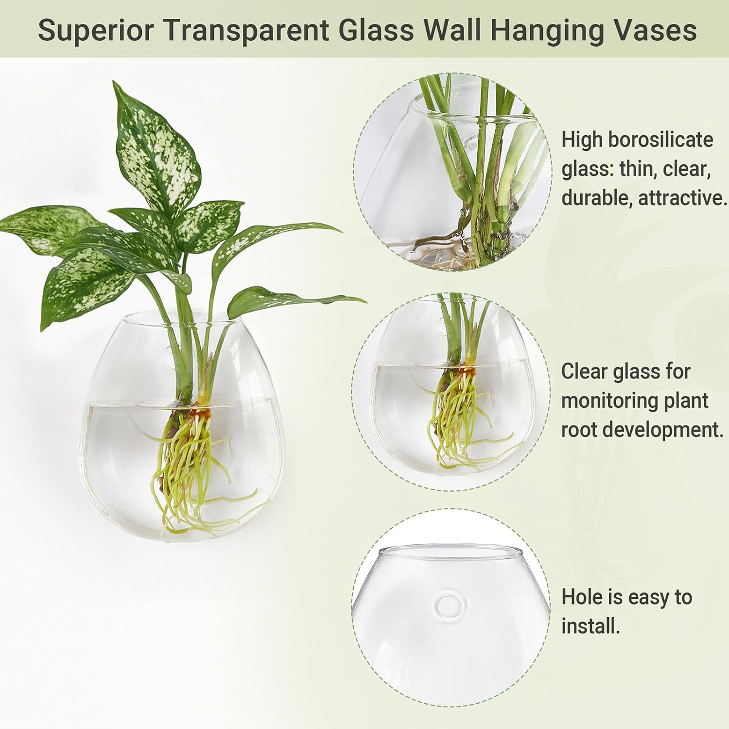 Dahey Wall Propagation Vases, 4 Pack Oblate Borosilicate Glass Planters | Fits Hydroponic Cuttings & Flowers