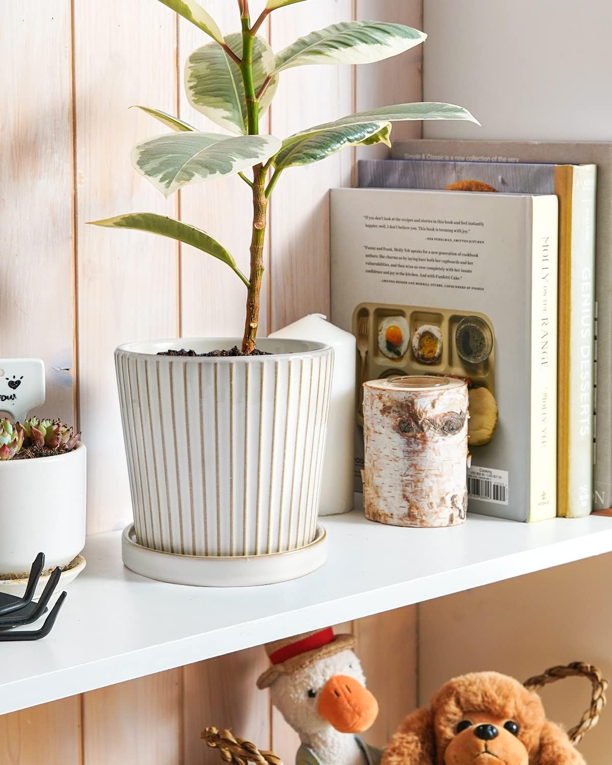 LE TAUCI Ceramic Pots for Plants, 5.4 Inch Plant Pots with Drainage Hole and Saucer, Indoor Plant Pots for Succulent