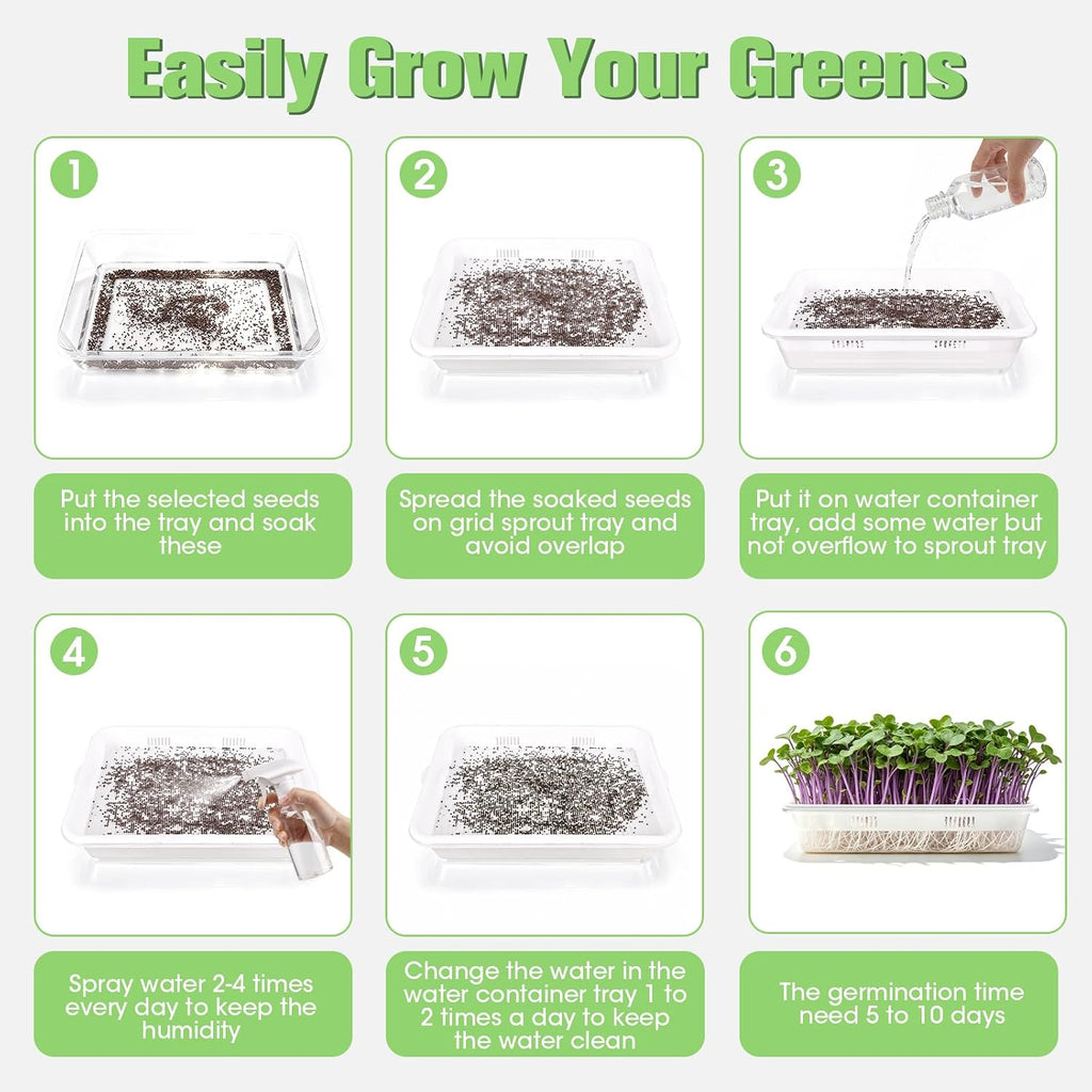 3 Pack Hard Acrylic Microgreens Growing Trays, Visual Soilless Sprouting Kit with Silicone Mats & Spray Bottle, Seed