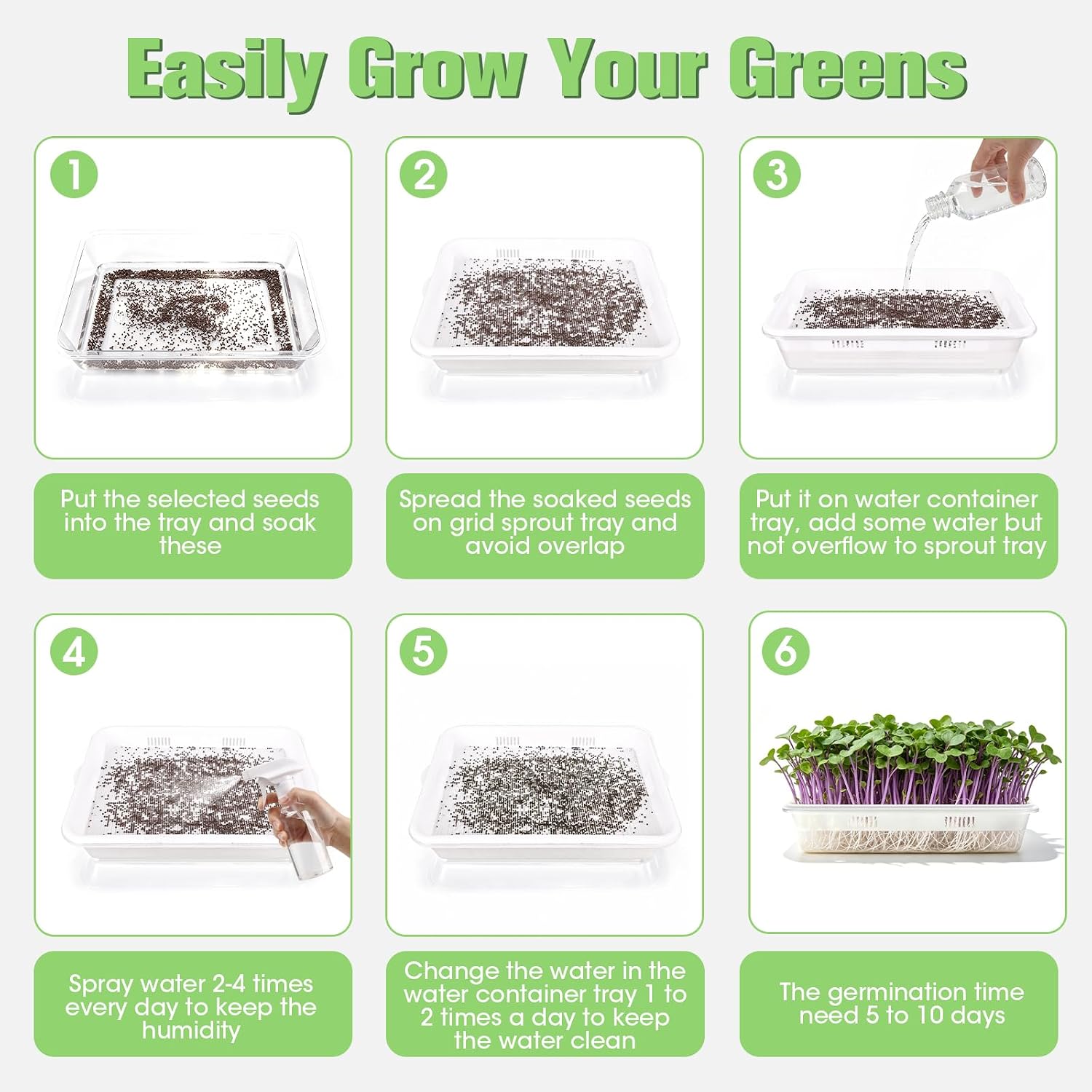 3 Pack Hard Acrylic Microgreens Growing Trays, Visual Soilless Sprouting Kit with Silicone Mats & Spray Bottle, Seed