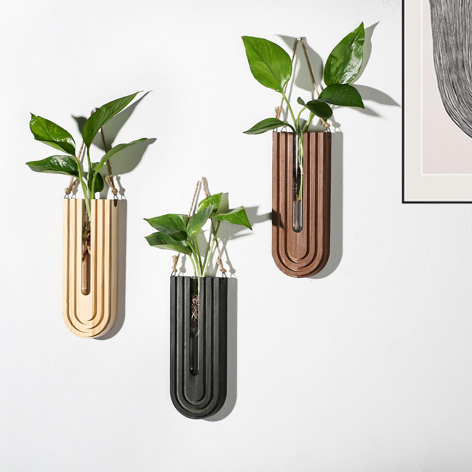 Dnnnii Indoor Wood Wall Planter Set of 3 for Plants - Boho Handmade Hanging Propagation Station with Curved Rainbow