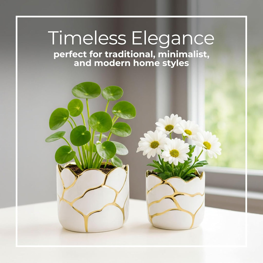 Set of 2 Plant Pots for Indoor Plants – Ceramic Planters with Gold Accents, Decorative Pots for Home Decor, Modern