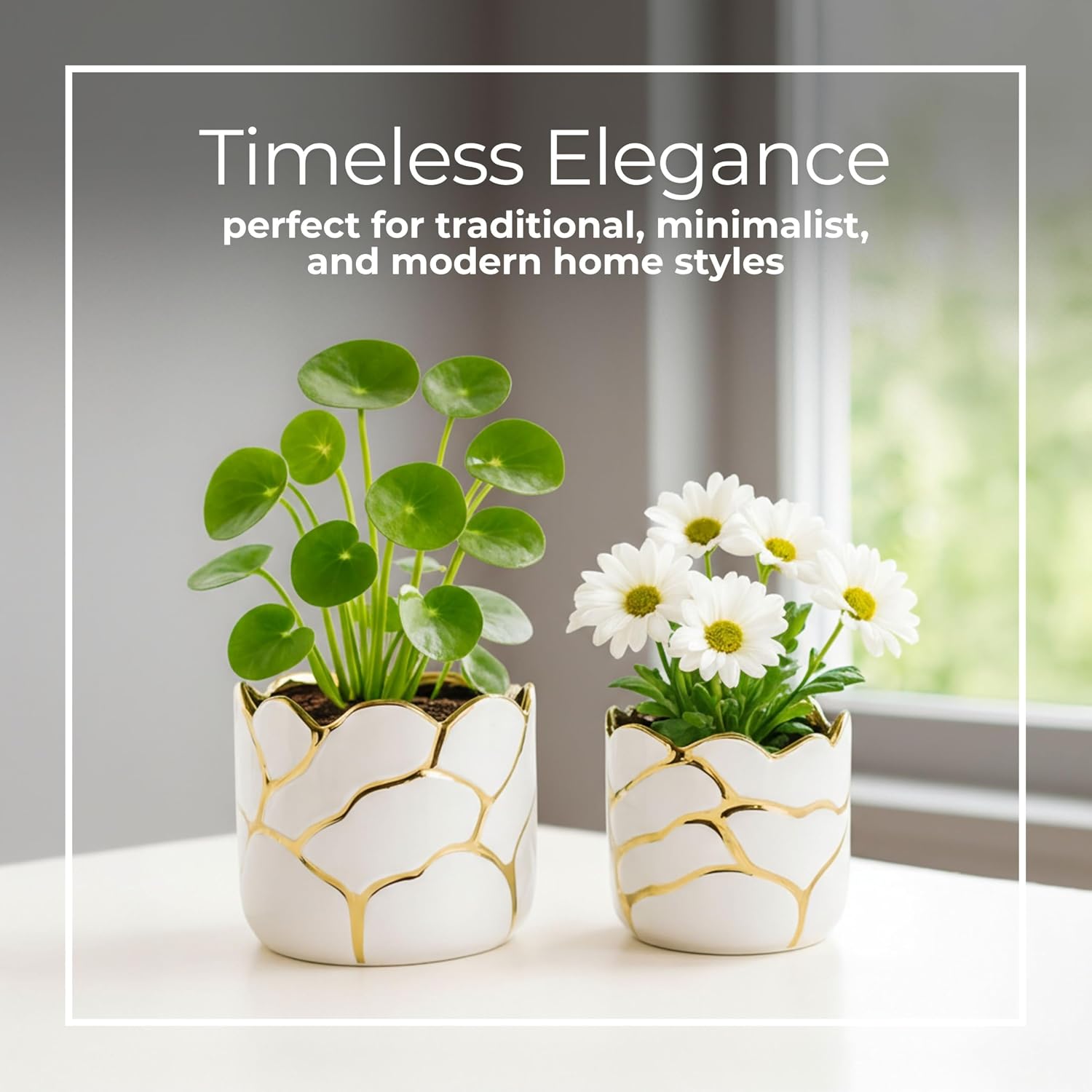Set of 2 Plant Pots for Indoor Plants – Ceramic Planters with Gold Accents, Decorative Pots for Home Decor, Modern