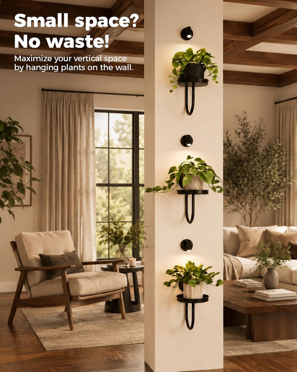 Bamworld Wall Plant Holder with Lights, Black, 3pcs | Thickened Metal, Heavy-duty, Rust Resistant, Remote Control