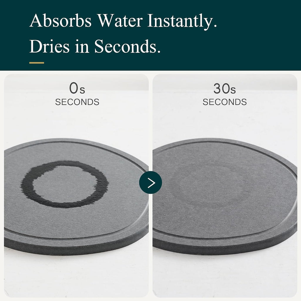 8 Inch 6 Pack Diatomite Plant Trays to Catch Water, Plant Pot Saucers | XRzitky Quick Absorbent and Dry Water Catcher