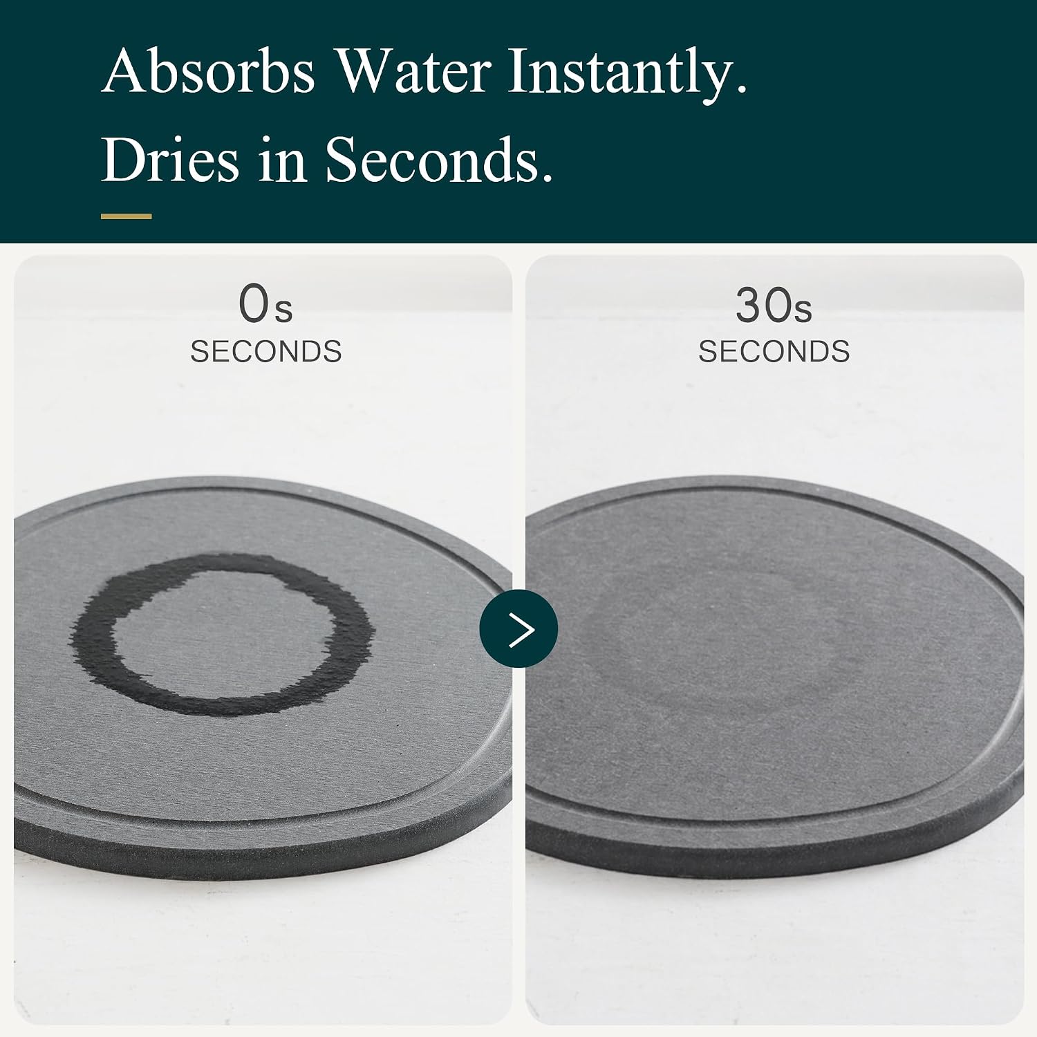 8 Inch 6 Pack Diatomite Plant Trays to Catch Water, Plant Pot Saucers | XRzitky Quick Absorbent and Dry Water Catcher