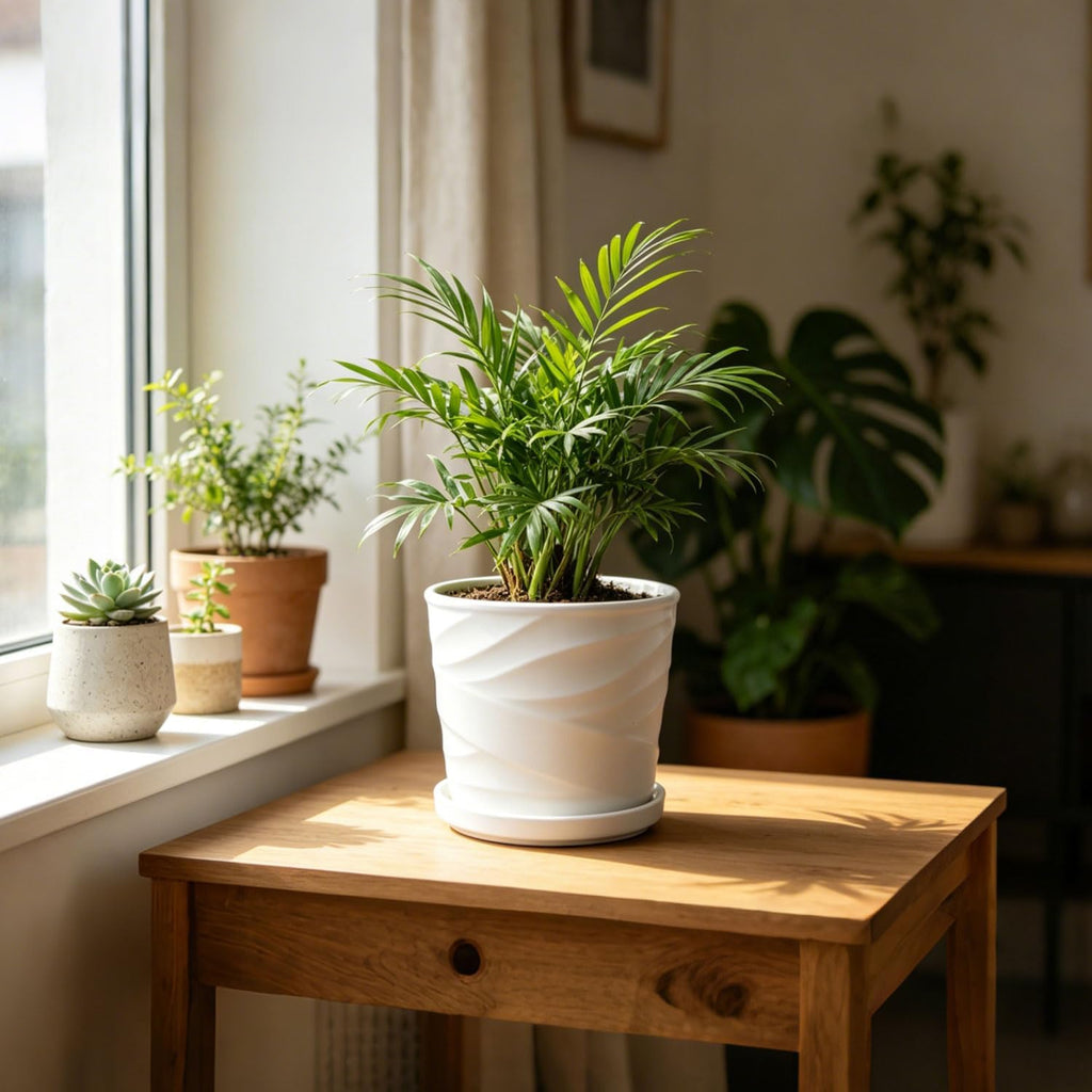 8 Inch Plant Pot,Ceramic Planter with Drainage and Saucer,Ceramic Pots for Plants,Indoor Plant pots,Ceramic Flower