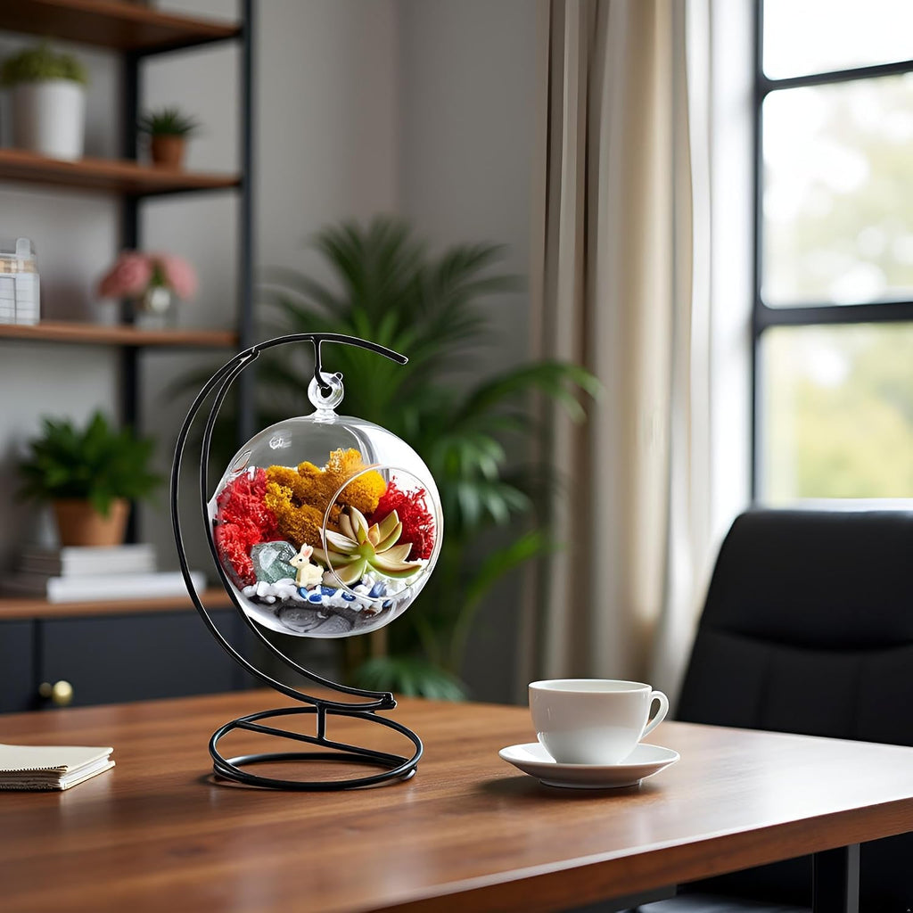 Creations by Nathalie DIY 5" DIY Globe Terrarium Kit - Build Your Own Glass Terrarium for Adults & Teens with Moss