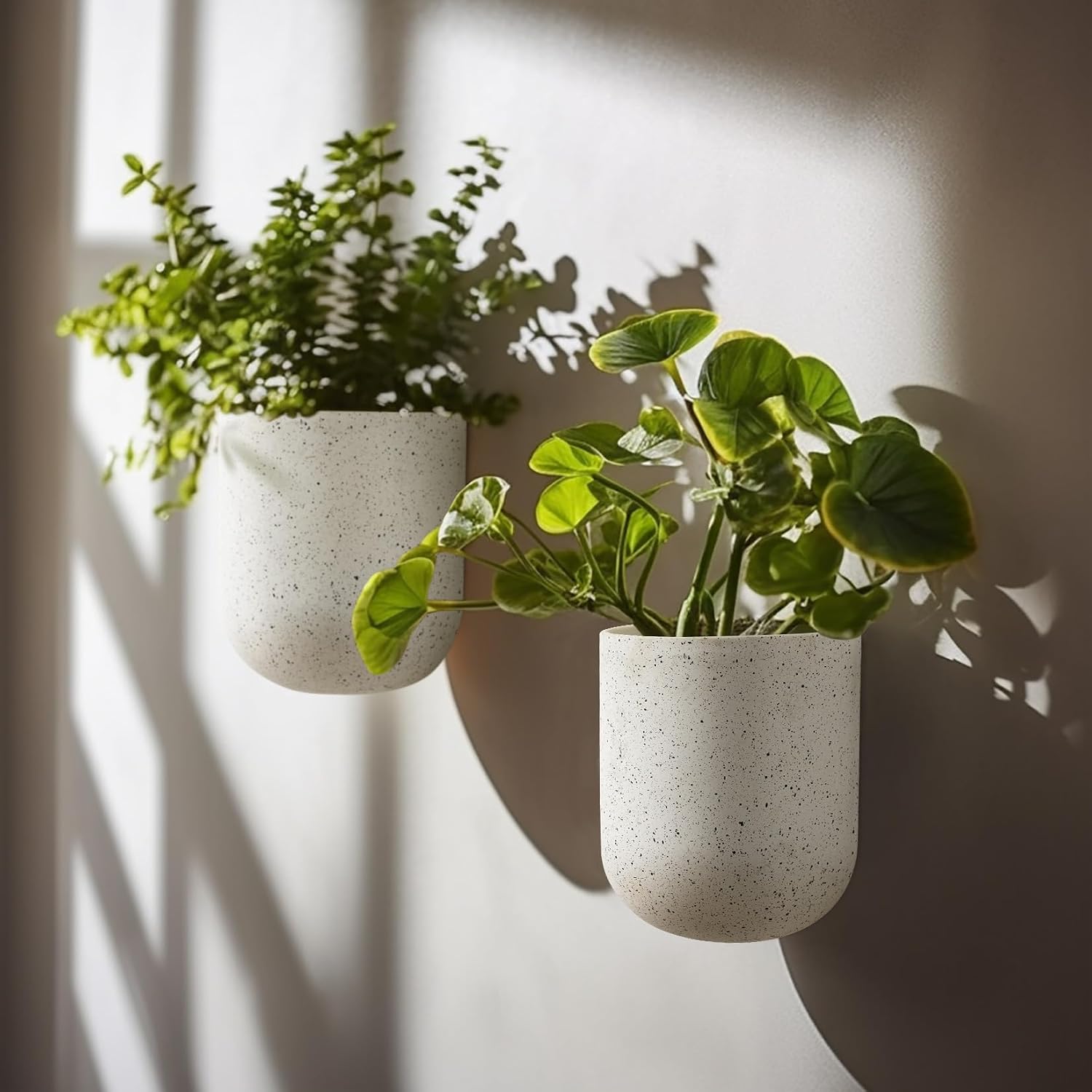 LA Jolie Muse Wall Hanging Planters for Indoor Plants，Hanging Flower Pots for Air Plants Succulent, Set of 2