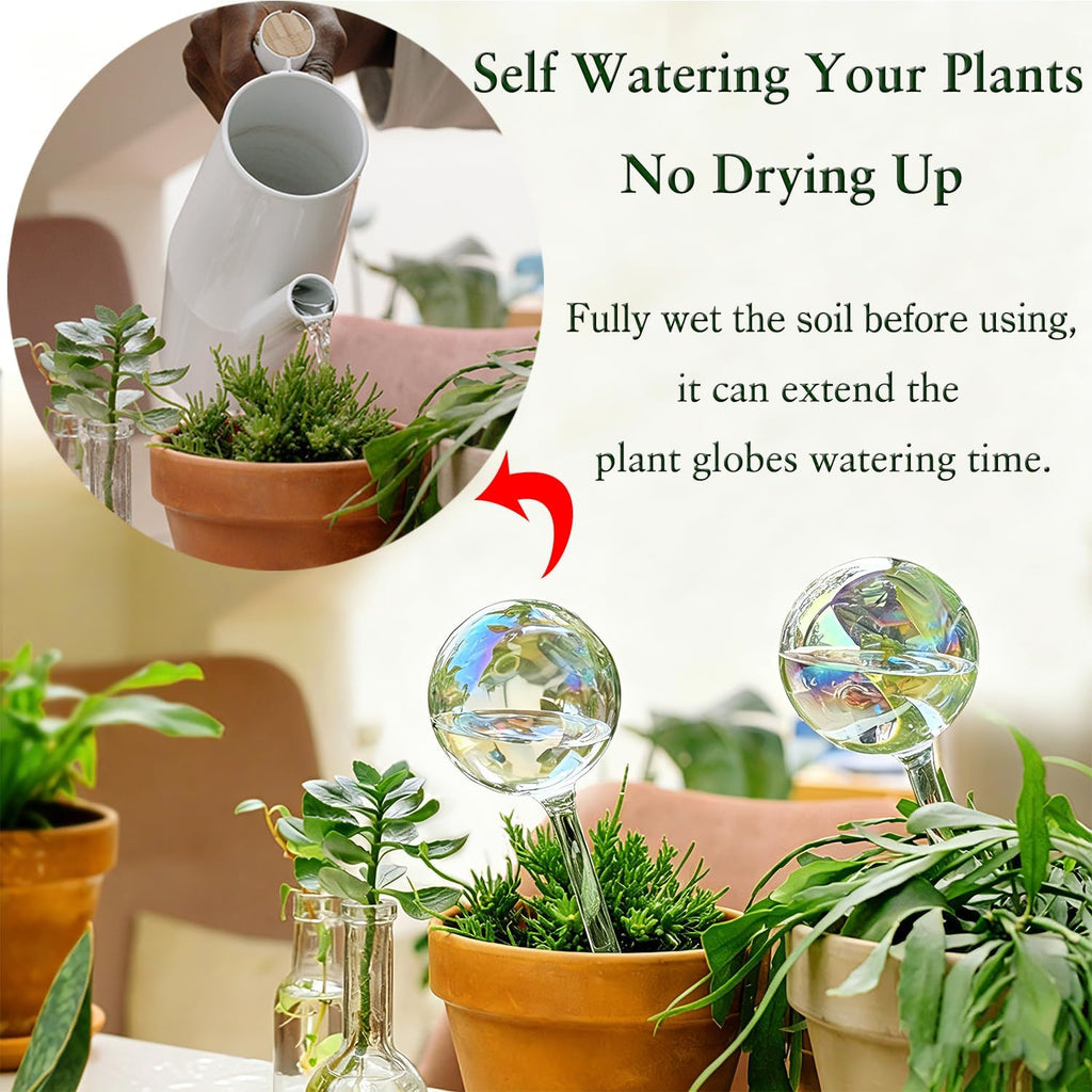 Self Watering Globes for Plants, Large 6pcs Glass Garden Self Watering Bulb | Up to 5 Days of Irrigation Self Watering