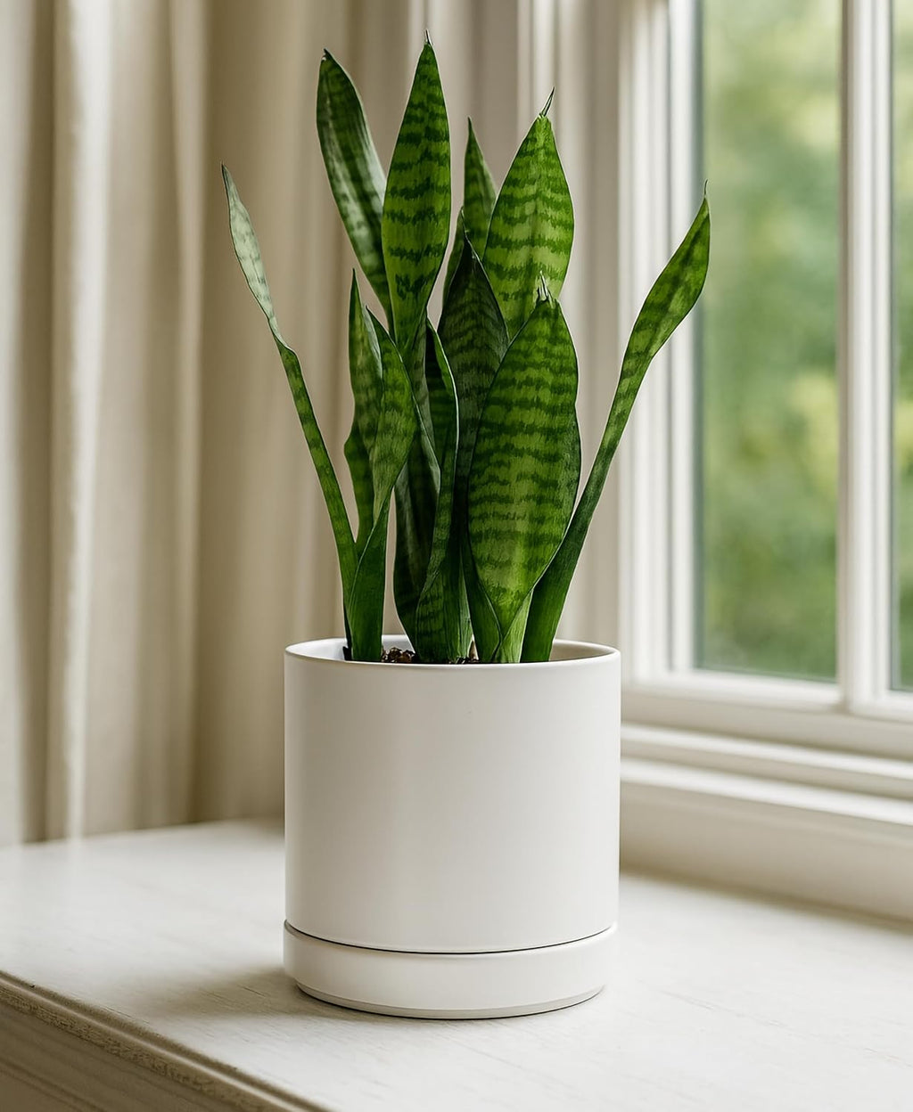 D'vine Dev 6.5 Inch Ceramic Planter Pot, White, 94-O-C-1 | Modern Cylinder Design, Drainage Hole & Saucer Included