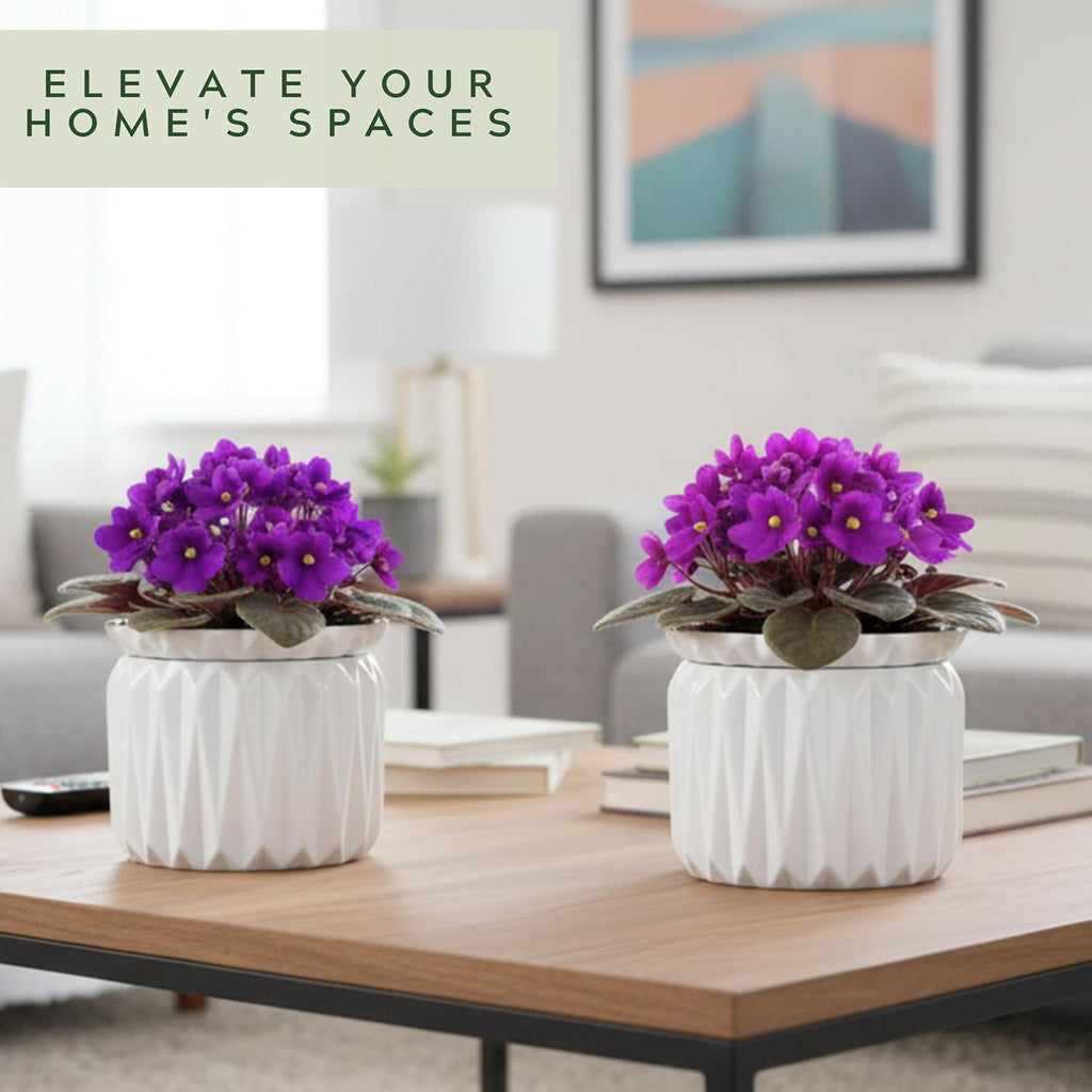 6 Inch African Violet Pots Self Watering, Ceramic Planter with Water Reservoir and Fill Lines, 4 Inch Opening, Indoor