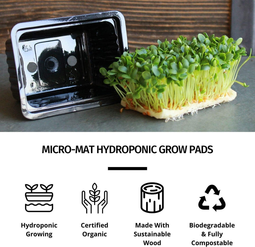 Handy Pantry Micro-Mat Minis Hydroponic Grow Pads - for Organic Production | Plant & Seed Germination: Wheatgrass