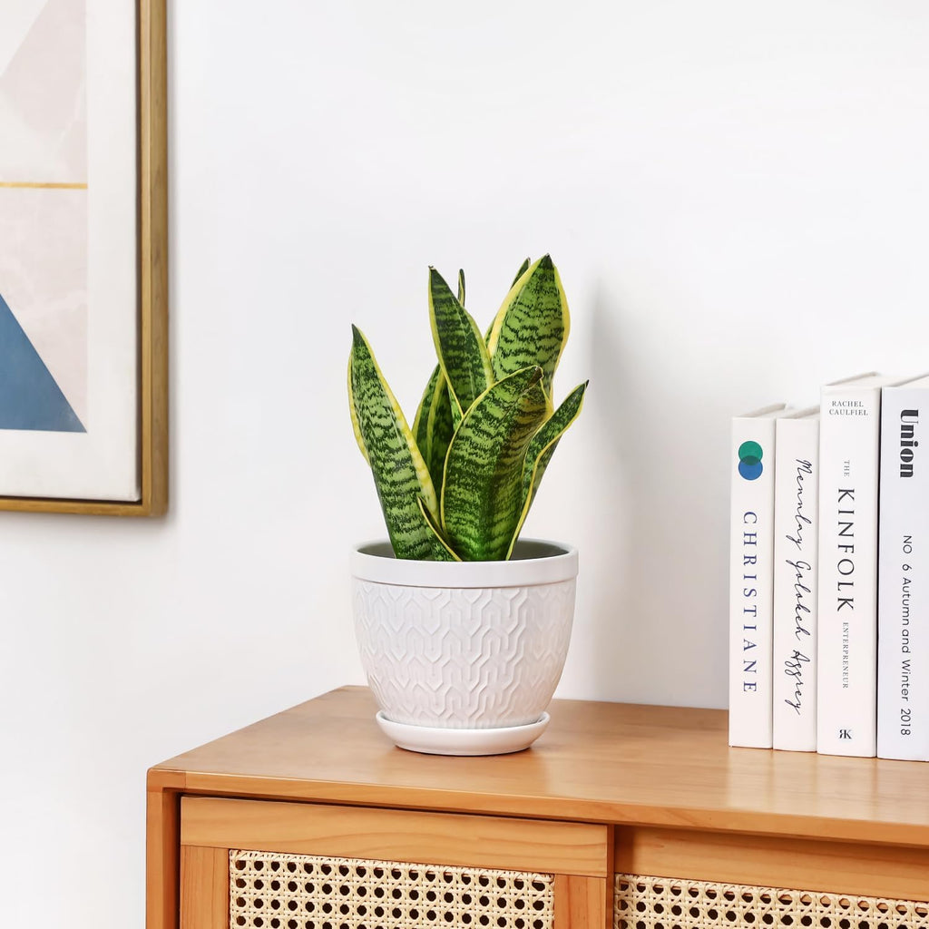 Sureasy 6.5 Inch Ceramic Plant Pots, Embossed Decorative Planters with Drainage Hole and Saucer, Modern Flower Pots for