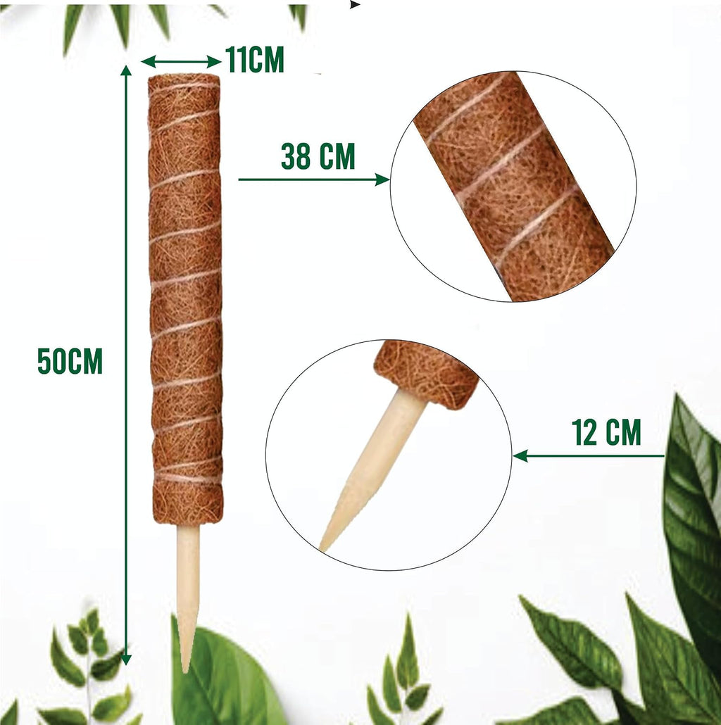 Moss Pole Pack of 4 – 50CM Monstera Plant Support | Natural Coco Coir Plant Poles for Indoor Plants | Extendable Moss