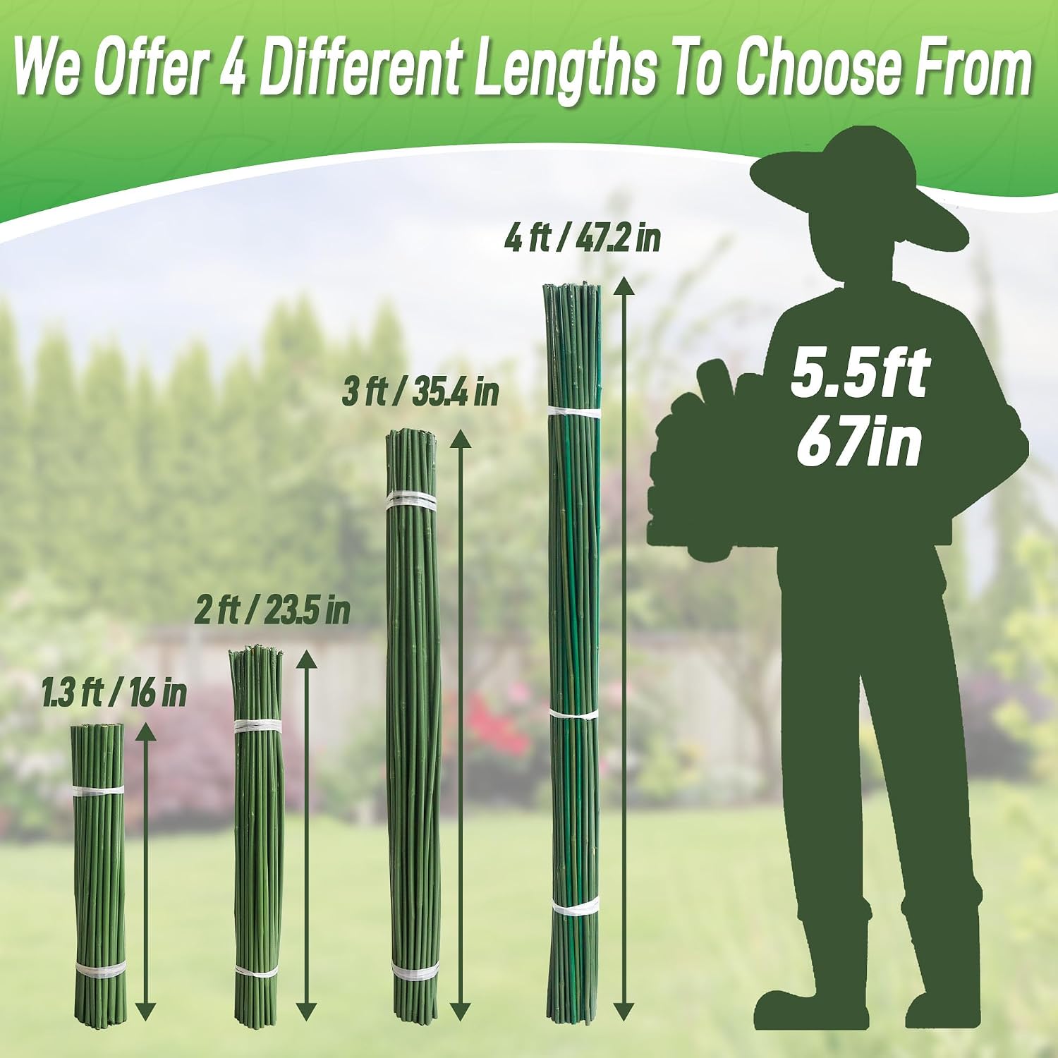 50Pcs 4ft Bamboo Sticks for Indoor Outdoor Plants, 0.29"-0.38" Natural Bamboo Poles, Durable Garden Stakes for