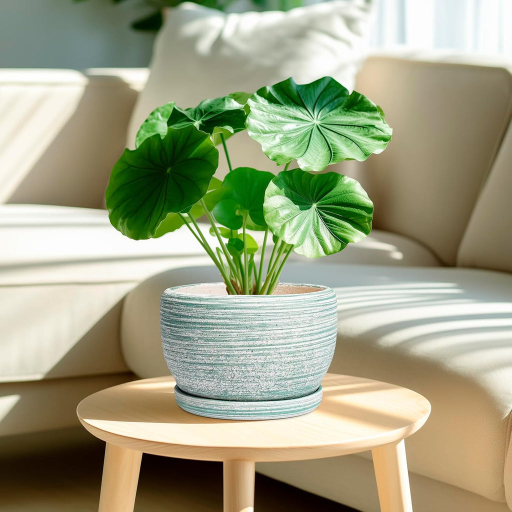 SQOWL Ceramic Planters for Indoor Plants - 8 inch Plant Pot Outdoor, Ceramic Flower Pot with Drainage Hole and Saucer