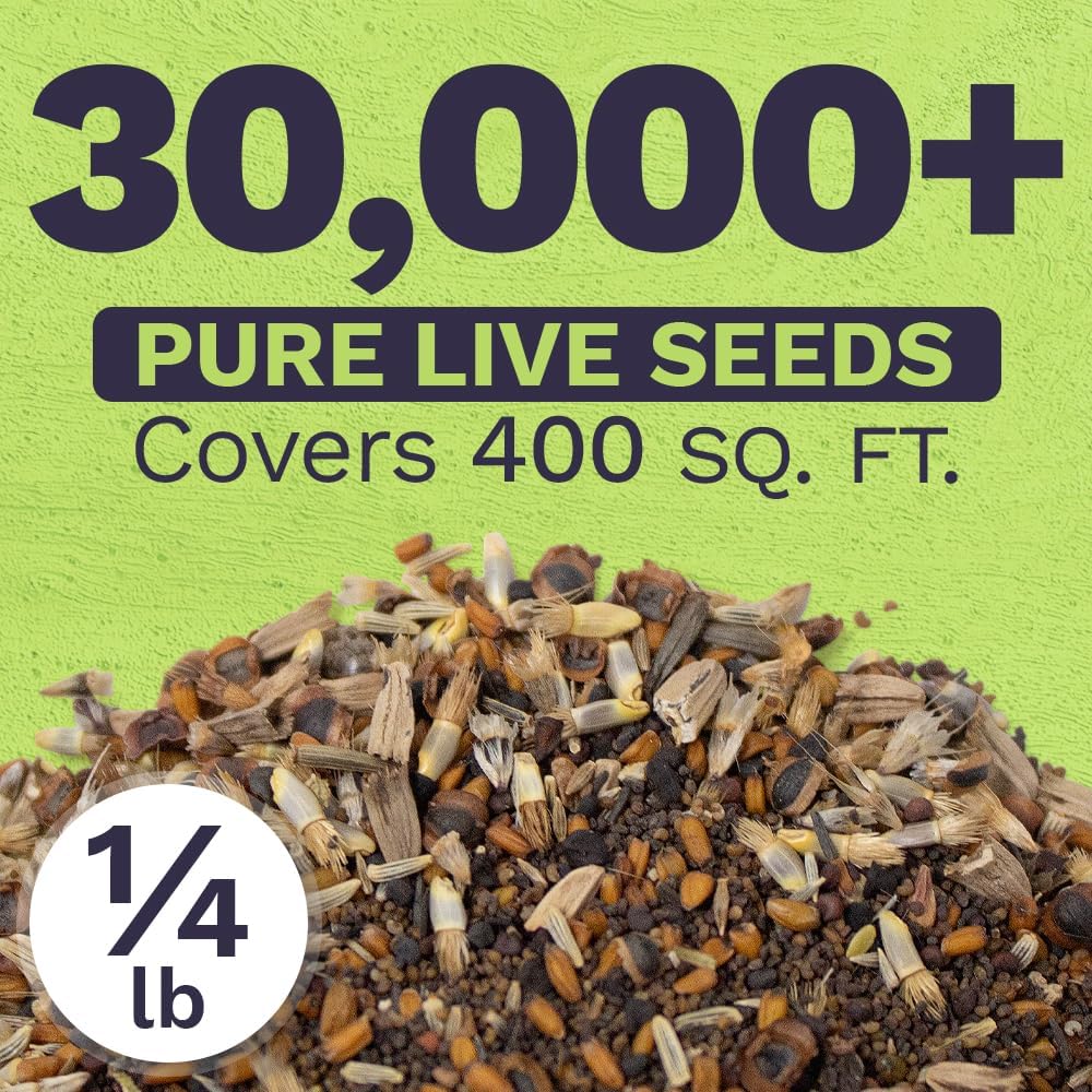 Northeast Wildflower Seed Regional Mixes - Bulk 1/4 Pound Bag - Over 30,000 Native Seeds - Open Pollinated and Non GMO