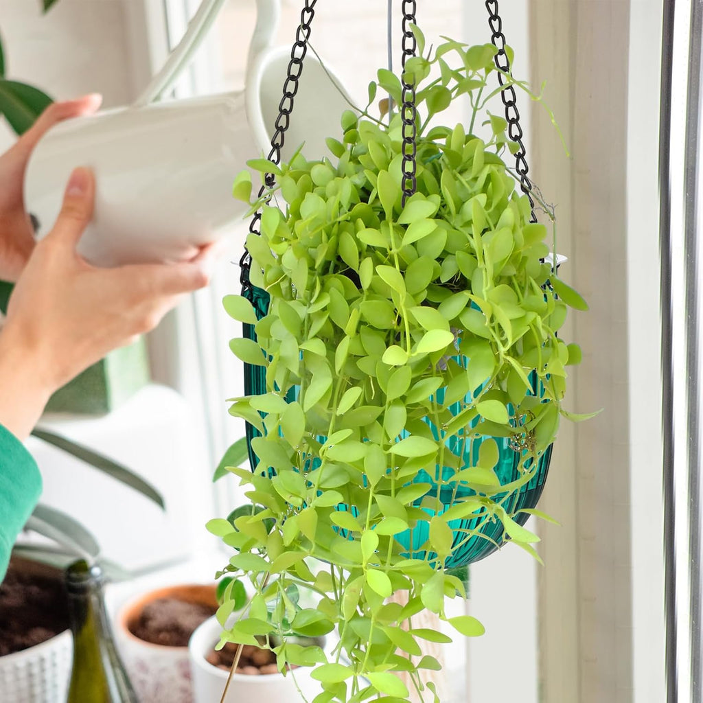 4 Pcs Self Watering Planters 6.5'' 4.5'', Emerald | Hanging Pots for Indoor Plants with Drainage Holes and 3 Hooks