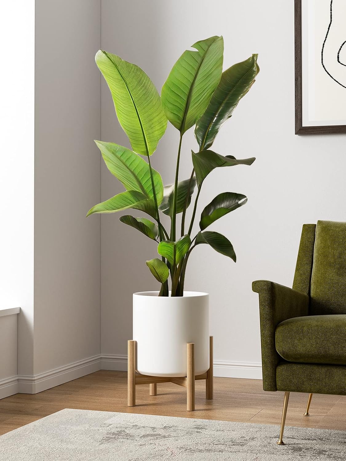 LE TAUCI 12 Inch Pot for Plants, Ceramic Planters for Indoor Plants, Mid-Century Modern Cylinder Flower Pots with