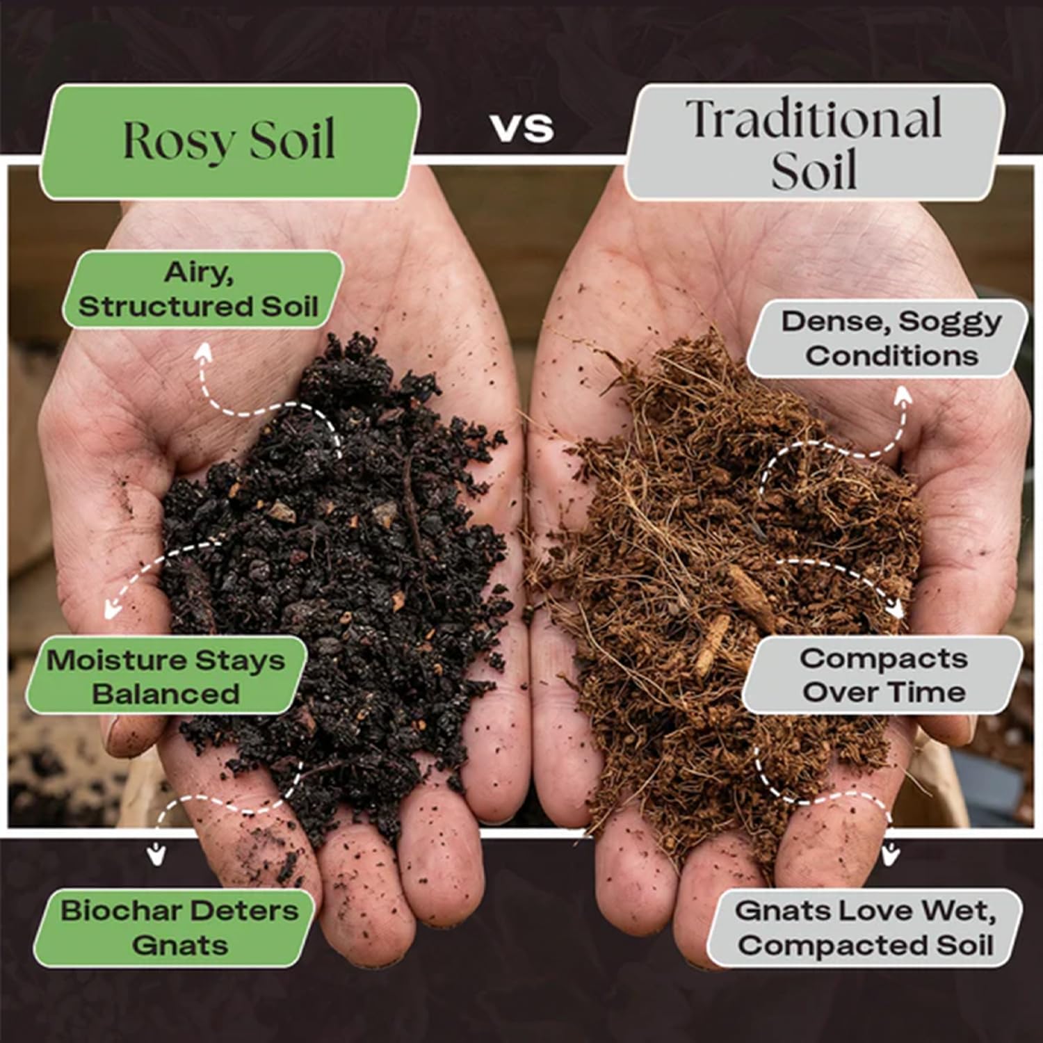 Rosy Soil Garden Mix Biochar Potting Soil for Outdoor Plants, 8 Quart | Organic Garden Soil with Worm Castings for