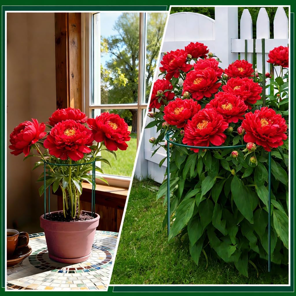 8 Pack Peony Support Cages, 10" W x 16" H Half Round Peony Plant Supports, Heavy Duty Metal Plant Support Stakes, Green