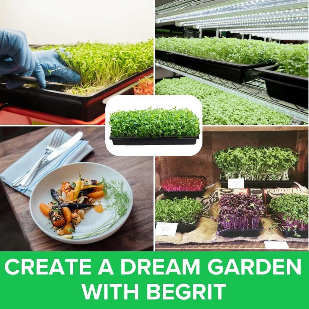 BeGrit 1010 Growing Trays Extra Strength Seed Tray 10" x 10" Without Drain Holes for Seedling Starter Microgreens