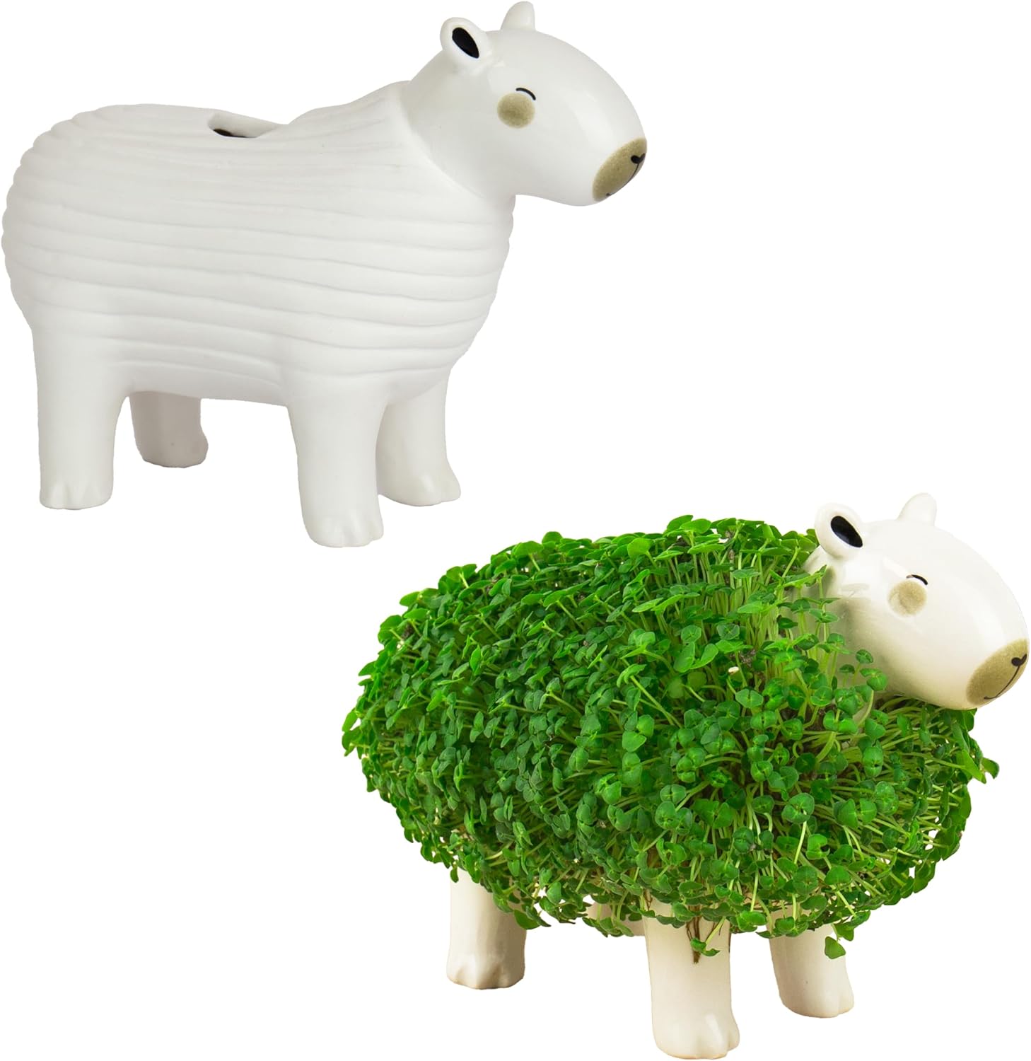 Gift Republic Capybara Chia Planter Desktop Sprouting Chia Animal Fun Grow Kit