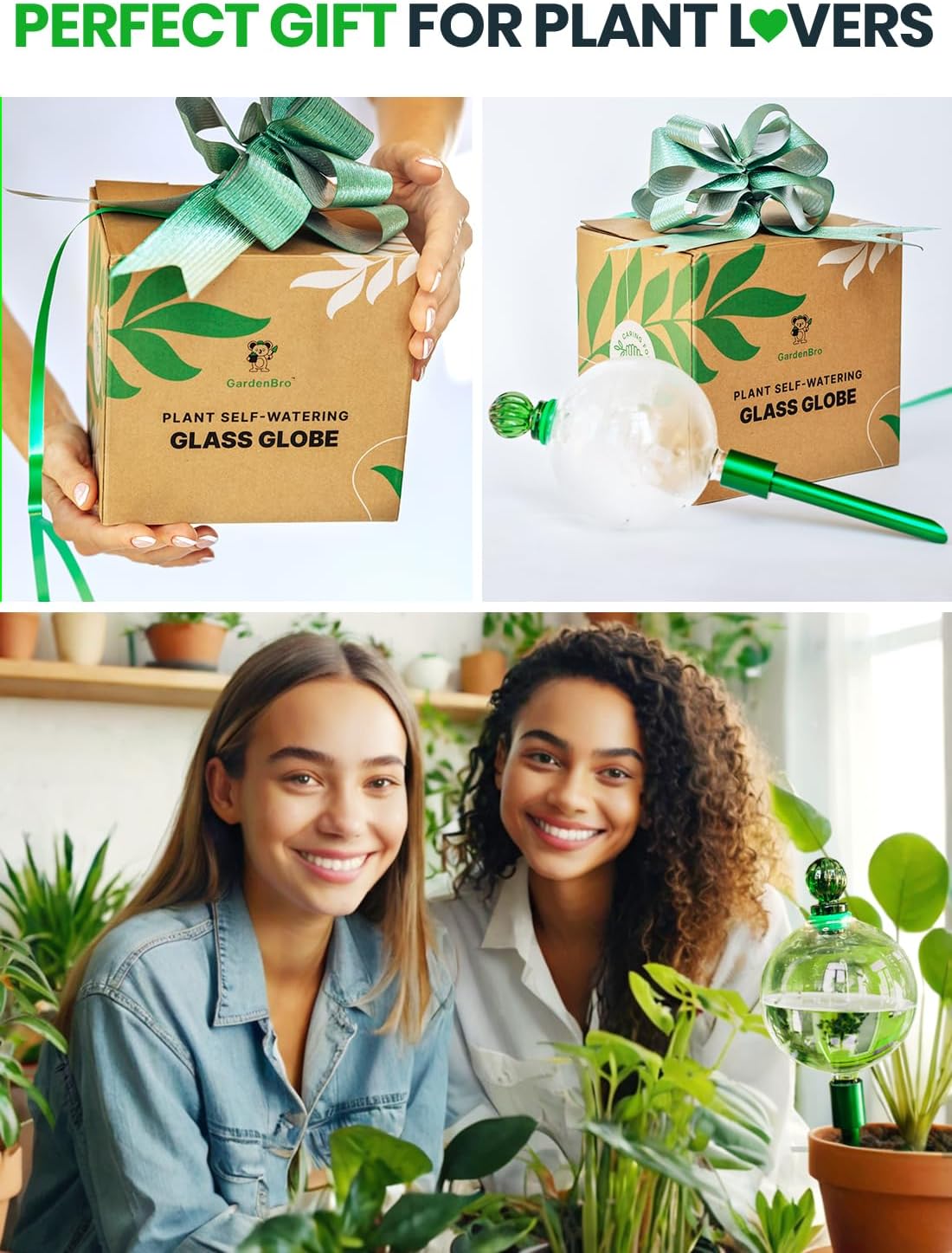 3pc 16oz Plant Watering Globes for Indoor Plants Self Watering Plant Insert | Premium XL Glass Hand-Blown Globe with
