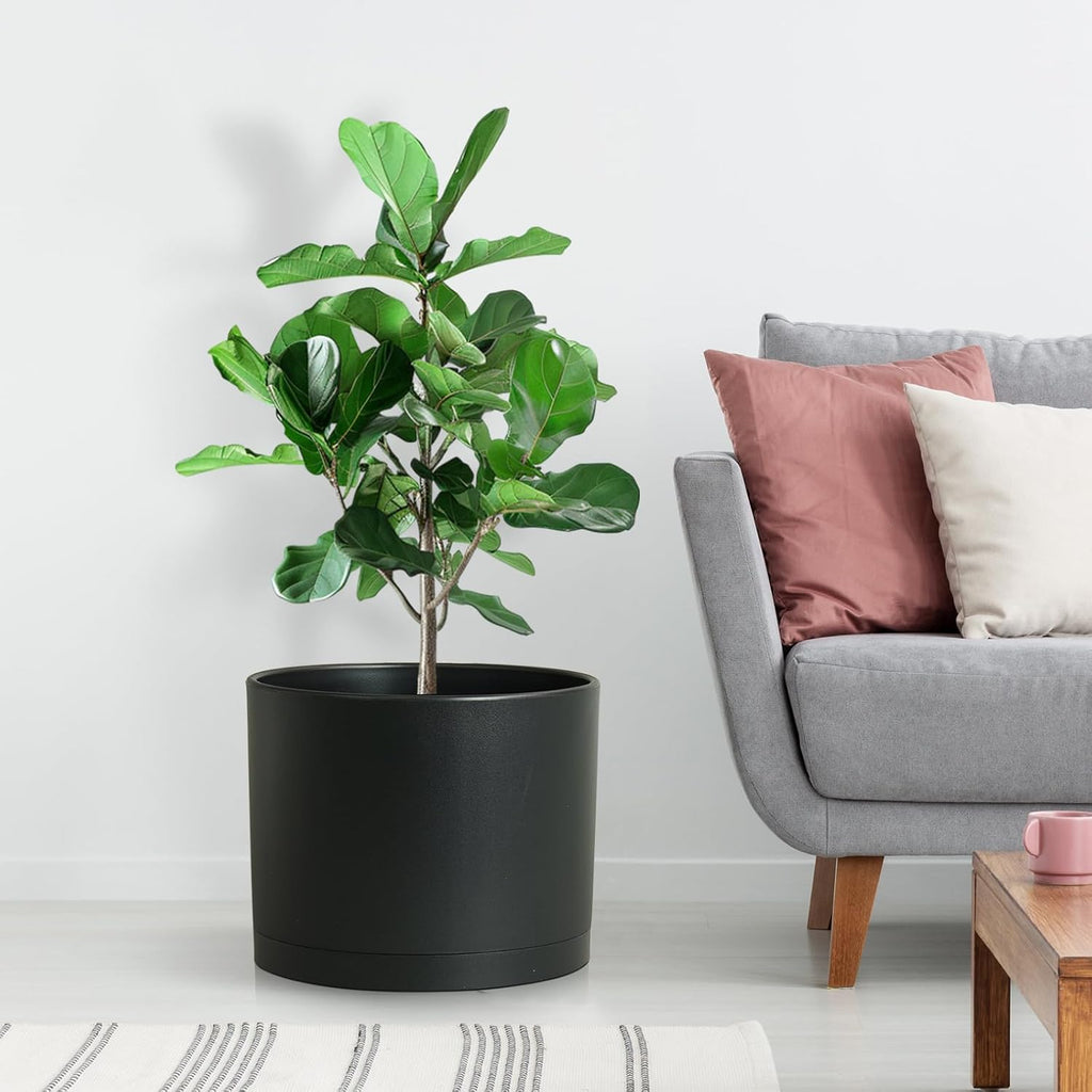 Large Plant Pots Set of 3 – 8", 9", 10" Indoor Flower Pots with Drainage Holes and Saucers, Big Planters for Monstera